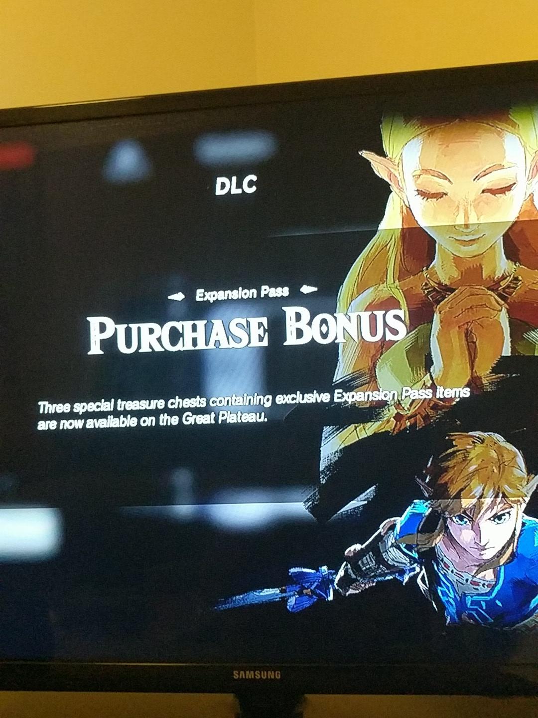 I know i have the DLC purchased. Now im wandering aimlessly around the