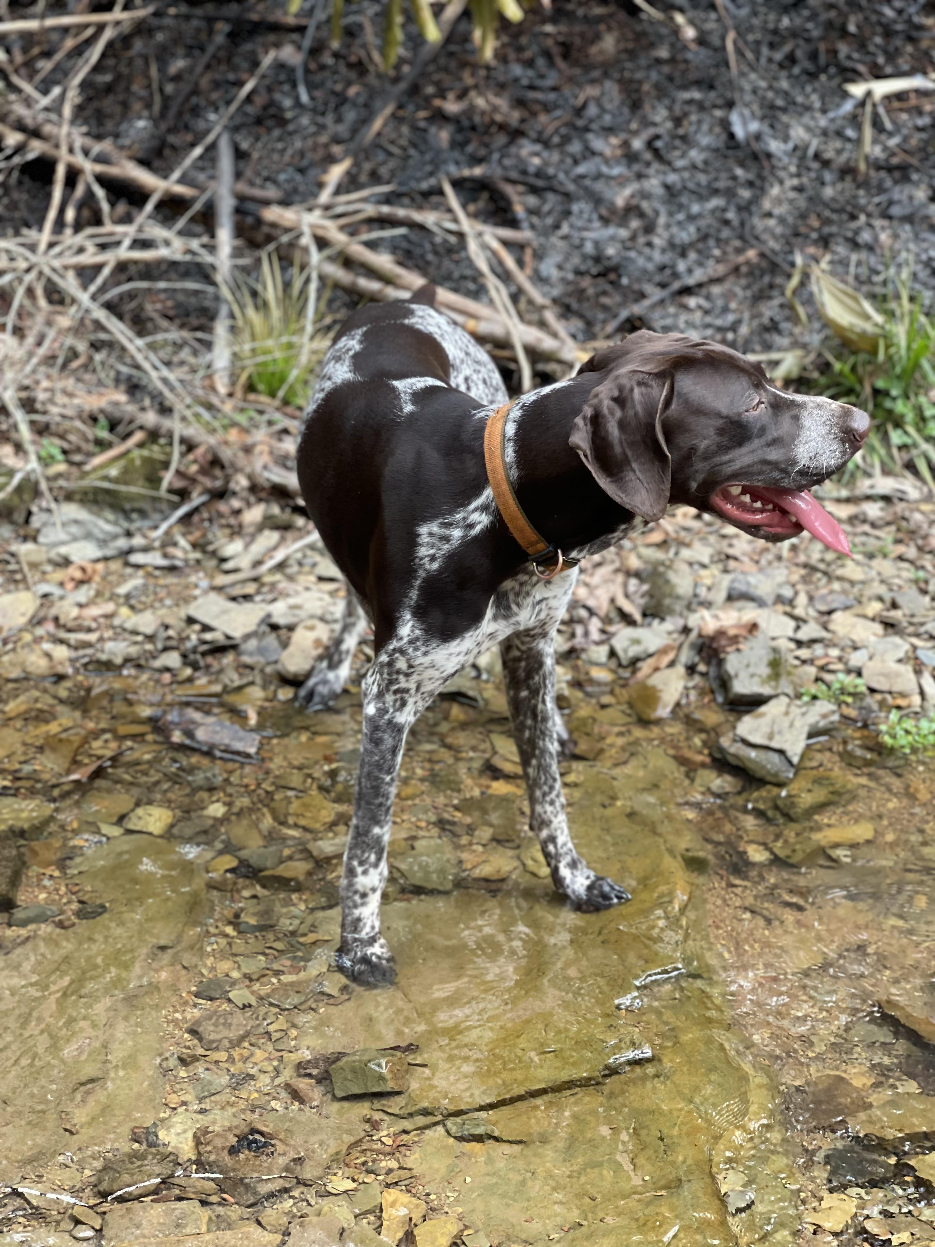 Any for a harness that will help with control and help