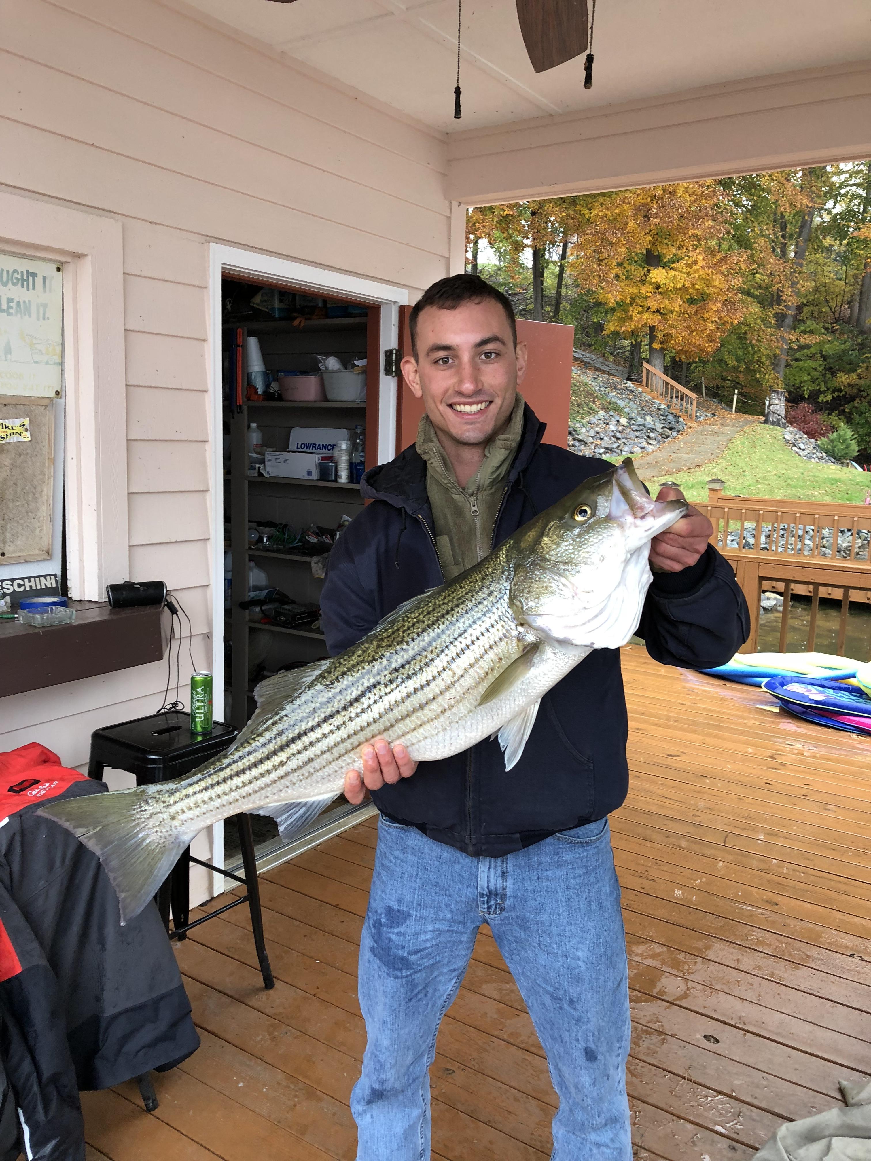Striped bass. Virginia r/Fishing