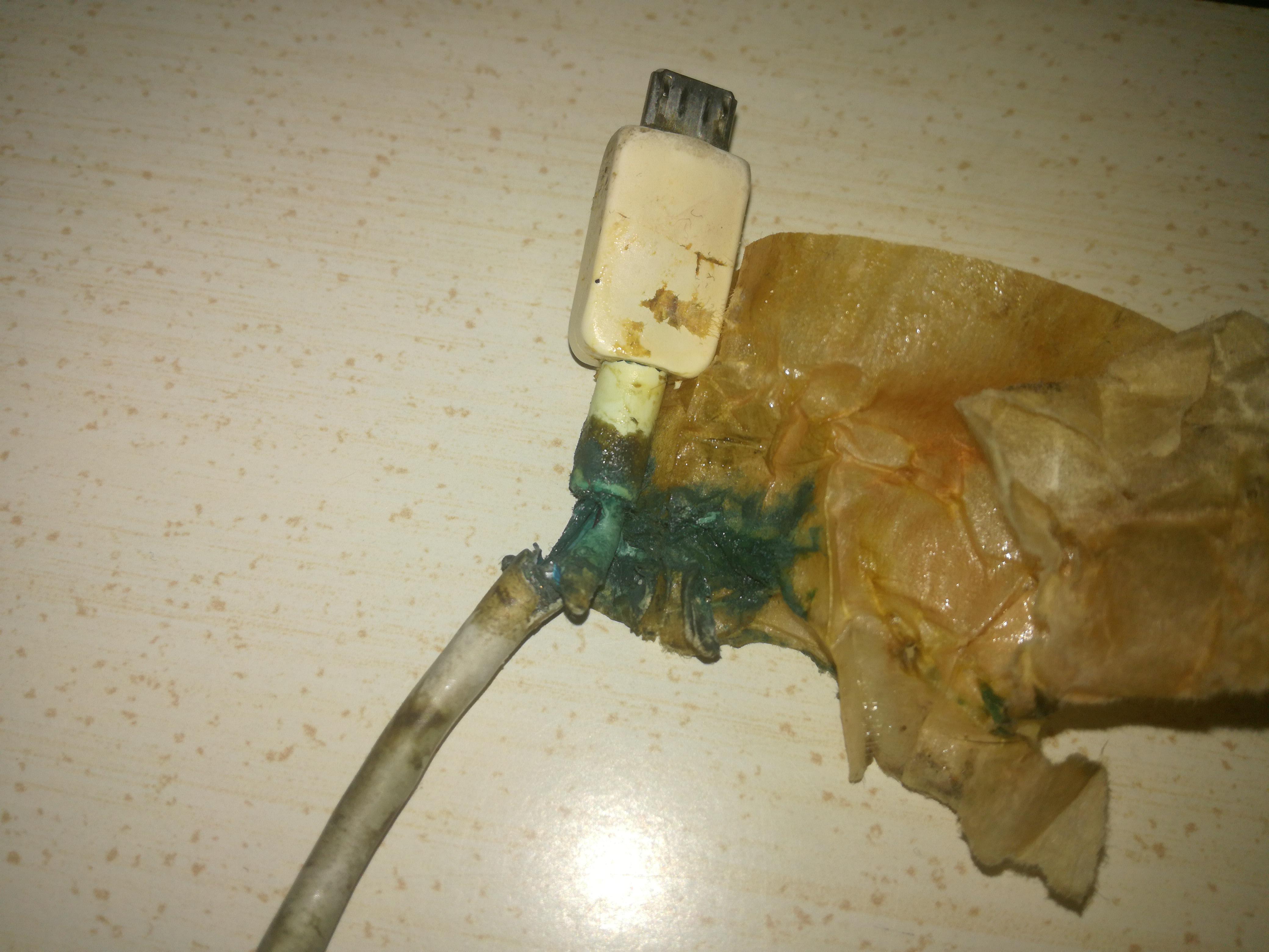 This phone charger r/mildlydisgusting