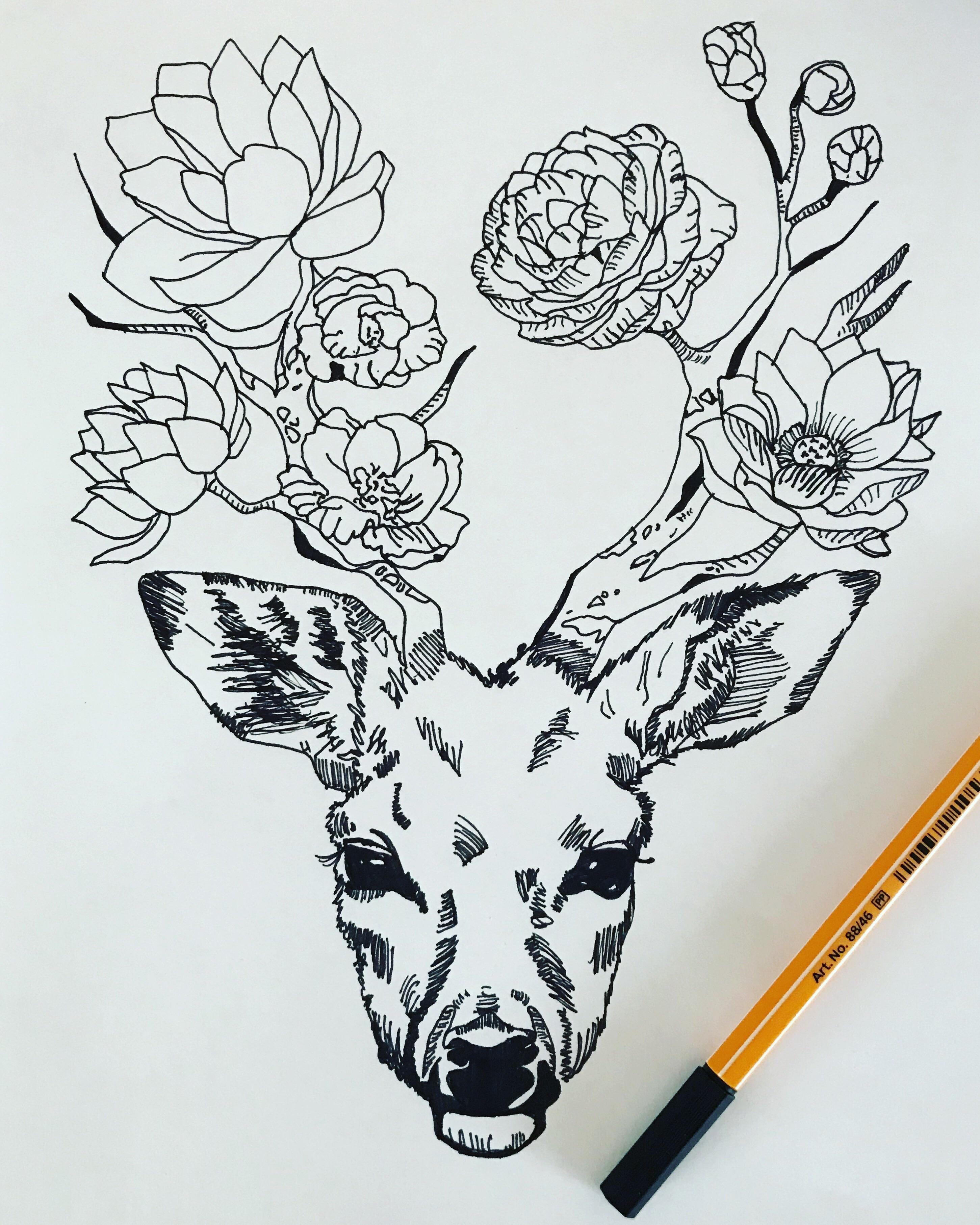Fine line drawing, deer, 2hrs work. r/drawing