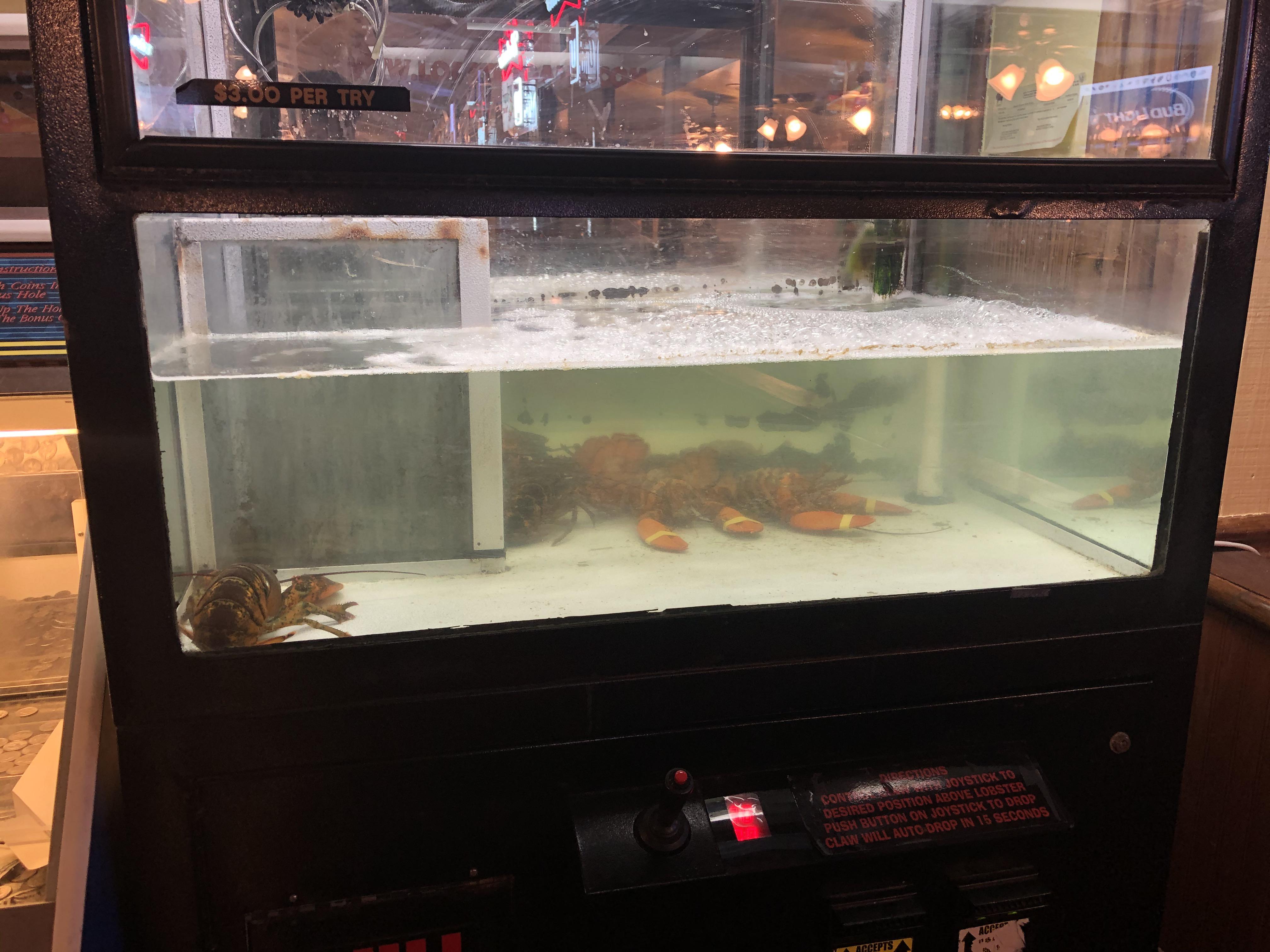 Lobster claw machine at the local seafood restaurant r/shittyaquariums
