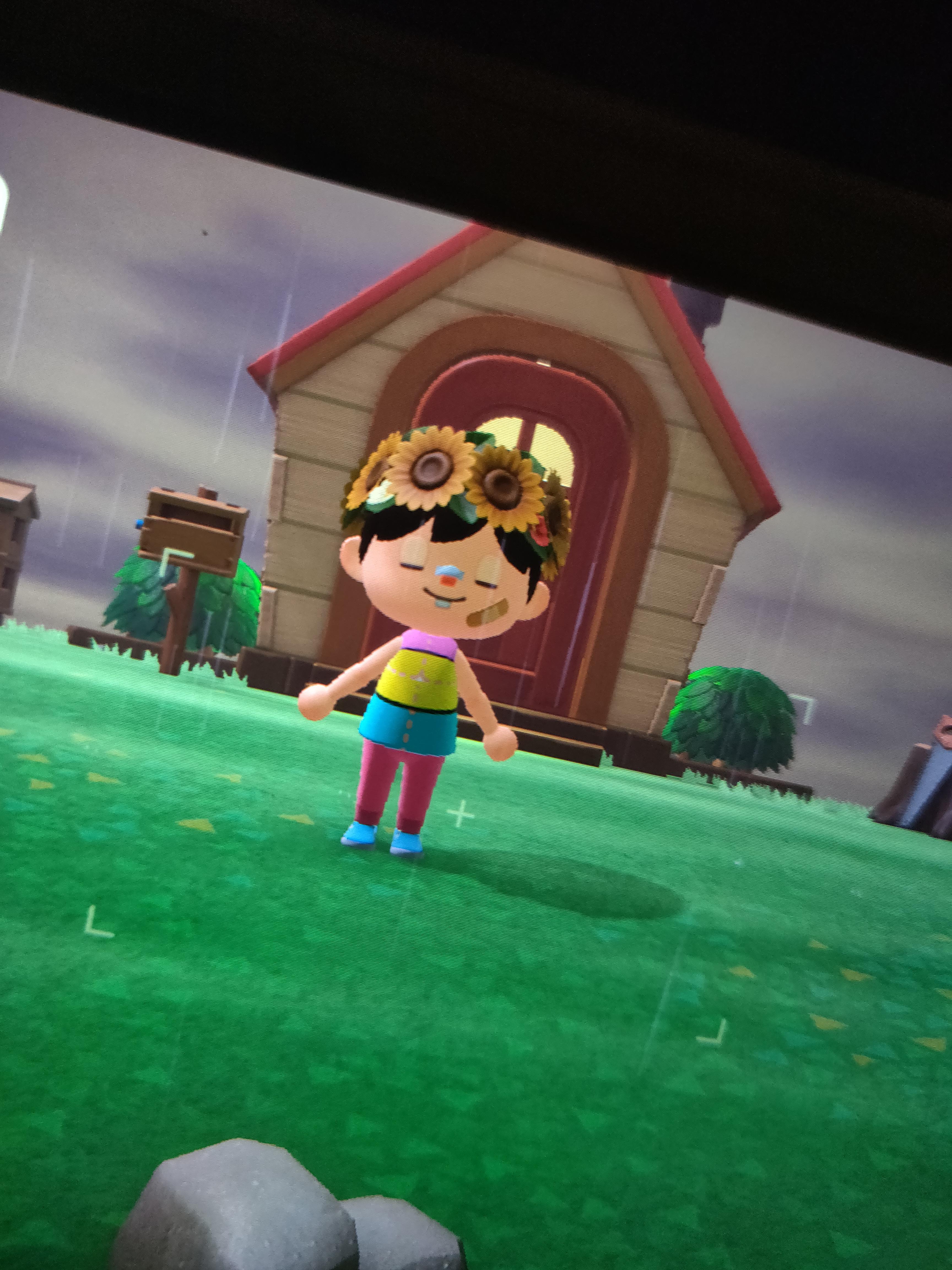 I got animal crossing yesterday and made this today r/pansexual