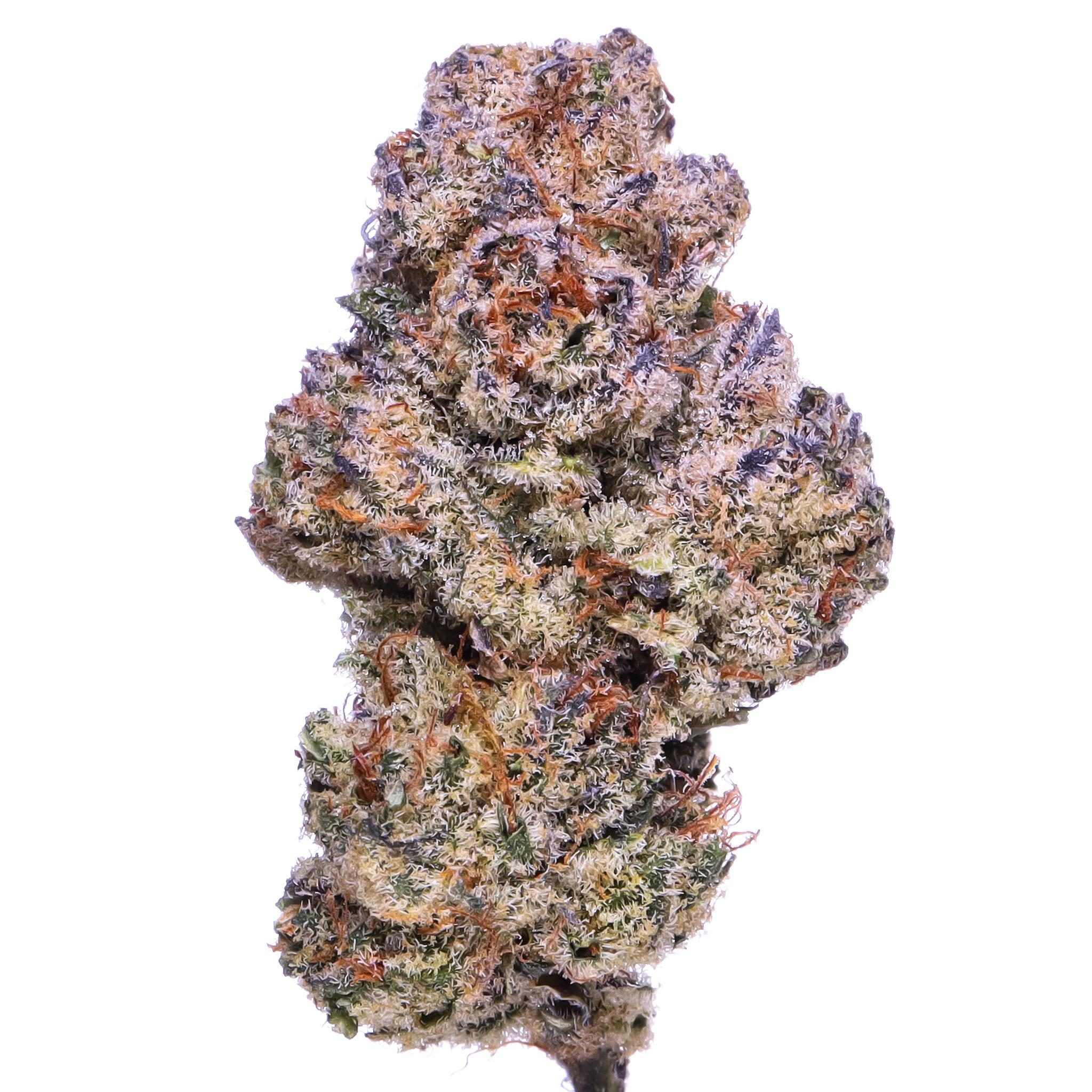 Banana Mac. Shot 📸 for Flow Gardens hempflowers