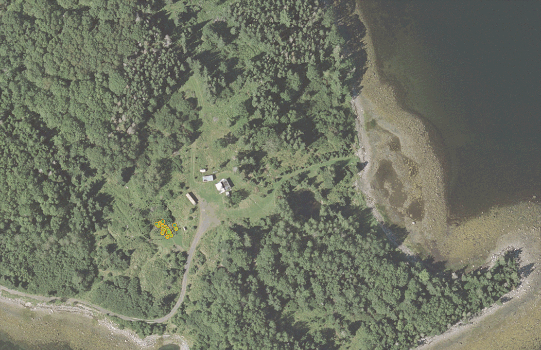 Reddit Dive into anything