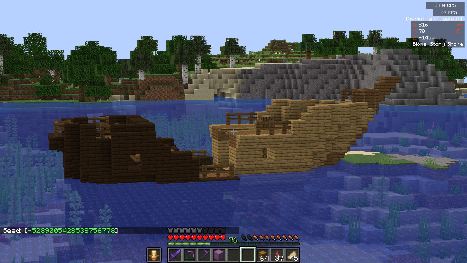 Coolest thing I have found on my survival world (two separate