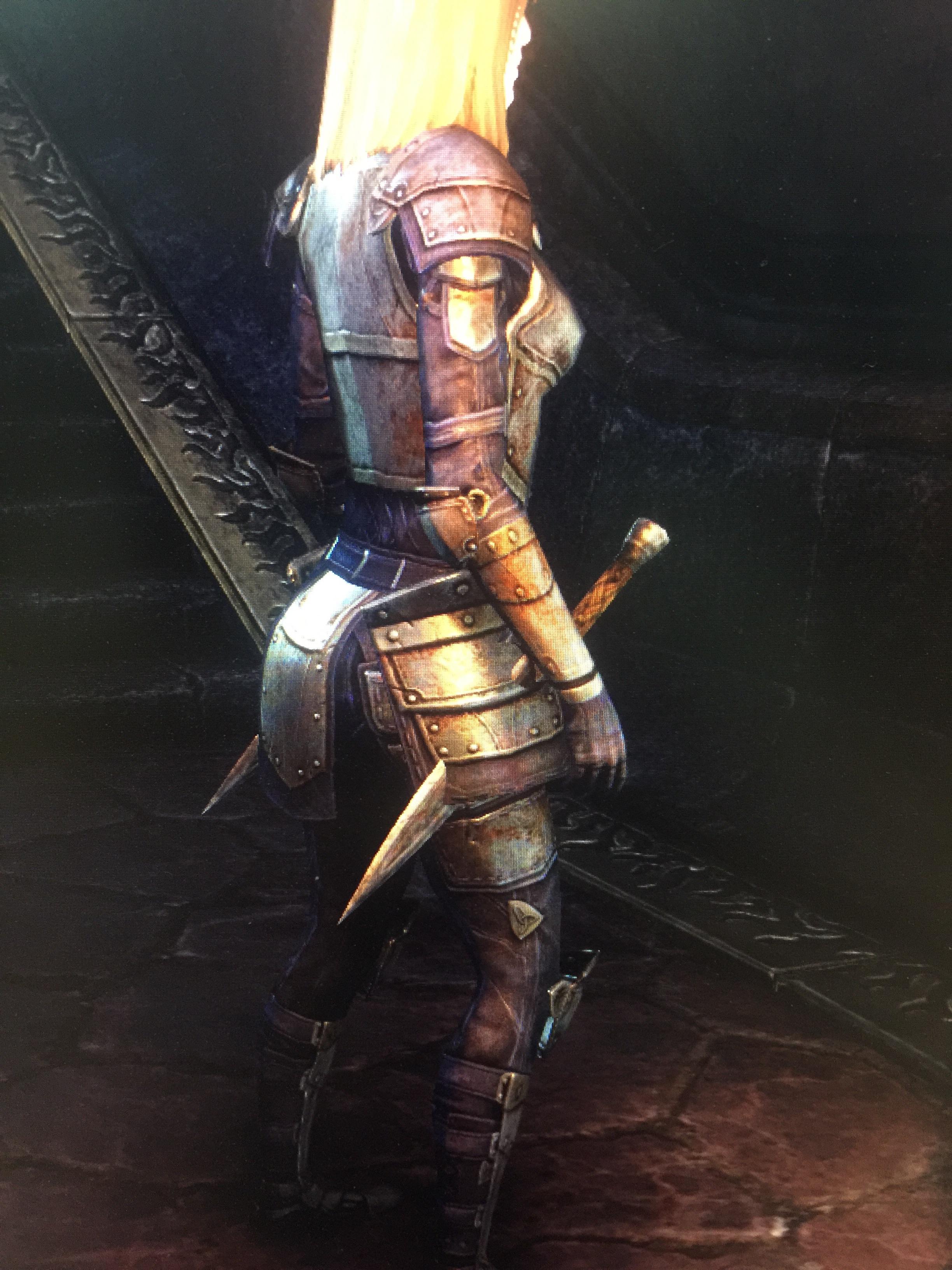Is it me or is there a model issue with dual wielding model when using