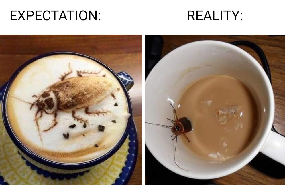 COFFEE COCKROACH r/AsheruIMBA