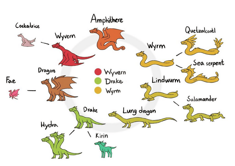 Diagram of Mythical Reptile Evolution/Biological
