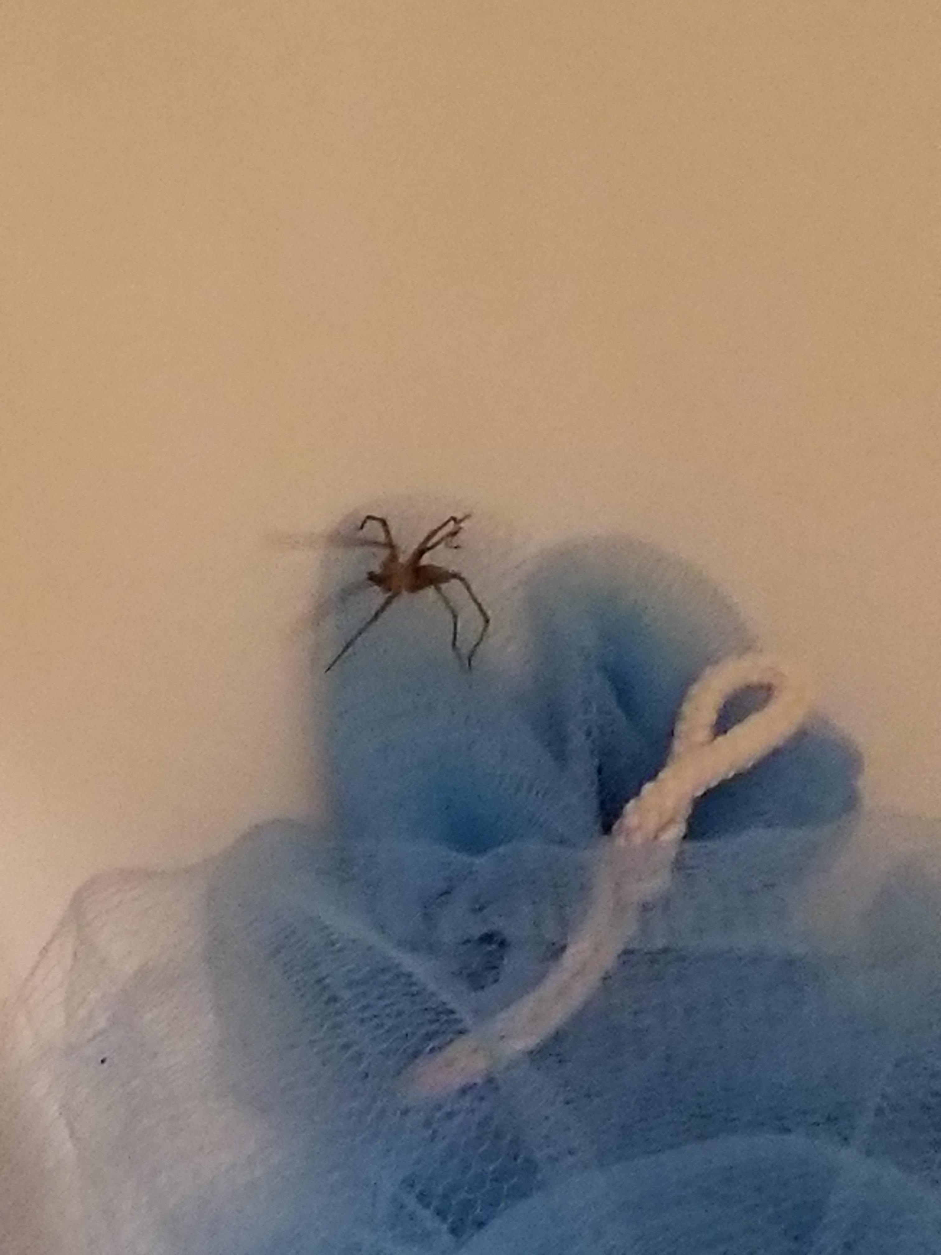 I was going to take a shower this morning... Decided to skip it, for