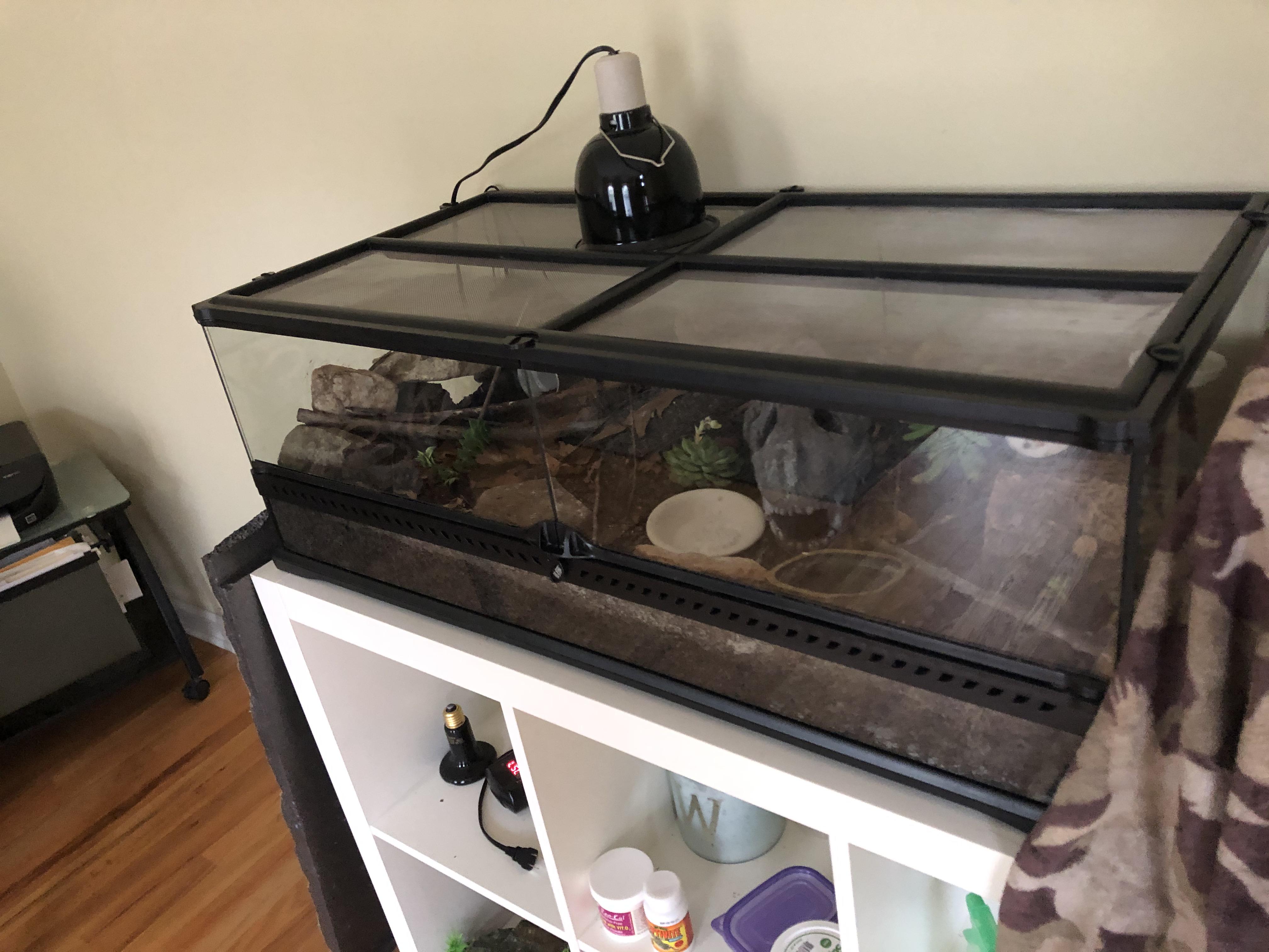 I need to move this vivarium upstairs or off this shelf at some point