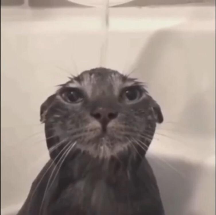 Are there any promo codes for Onward on the Oculus Quest store? (Trying