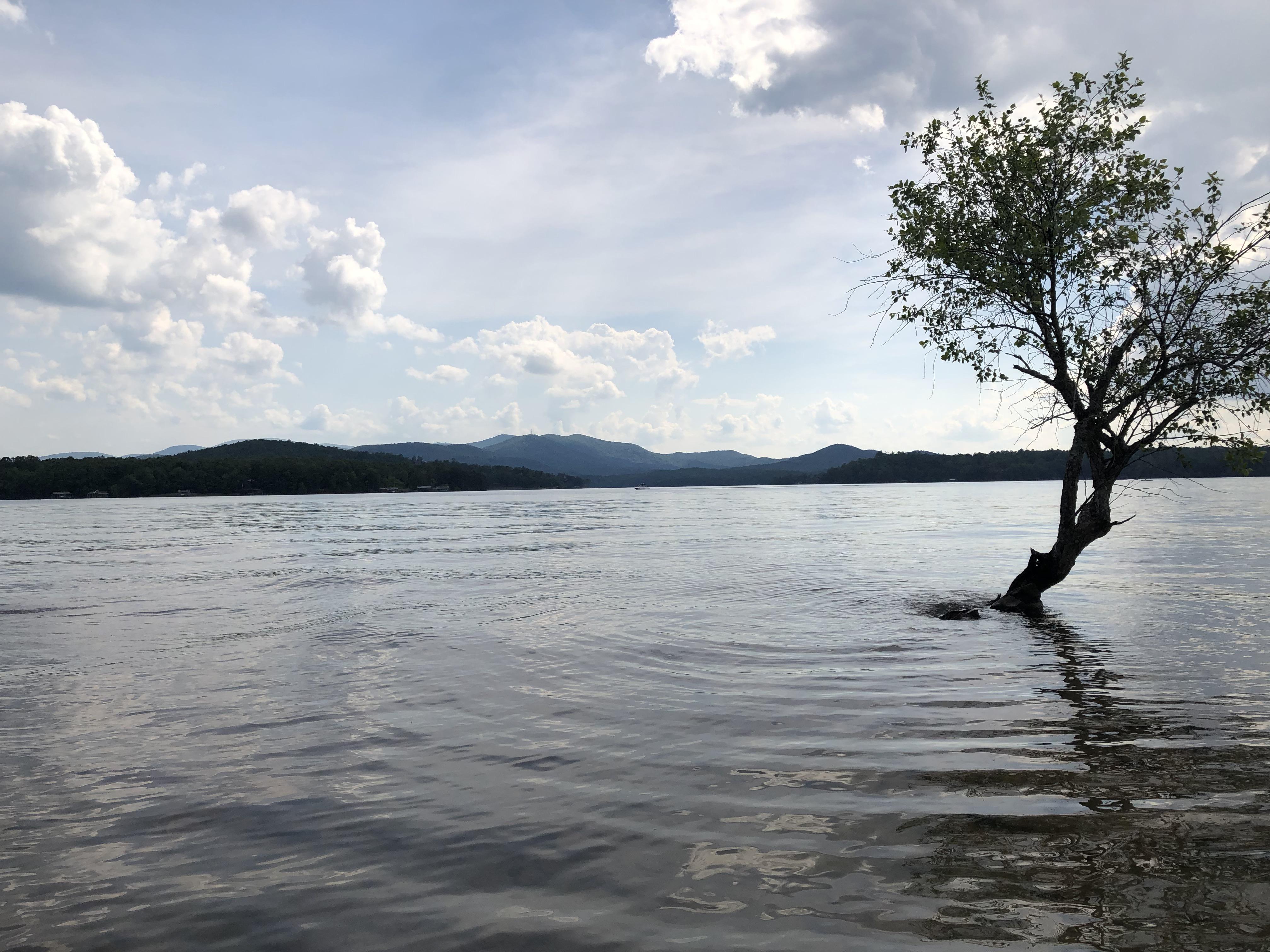 Breaking in my new kayak. Blue Ridge Lake, GA r/Kayaking