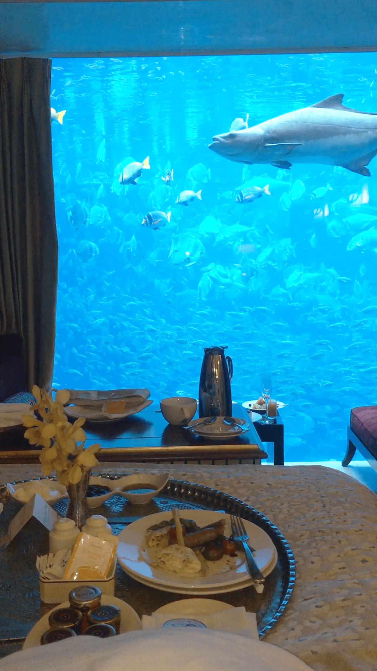 An underwater hotel room in Dubai I enjoyed staying at [1242x2208] [OC] RoomPorn
