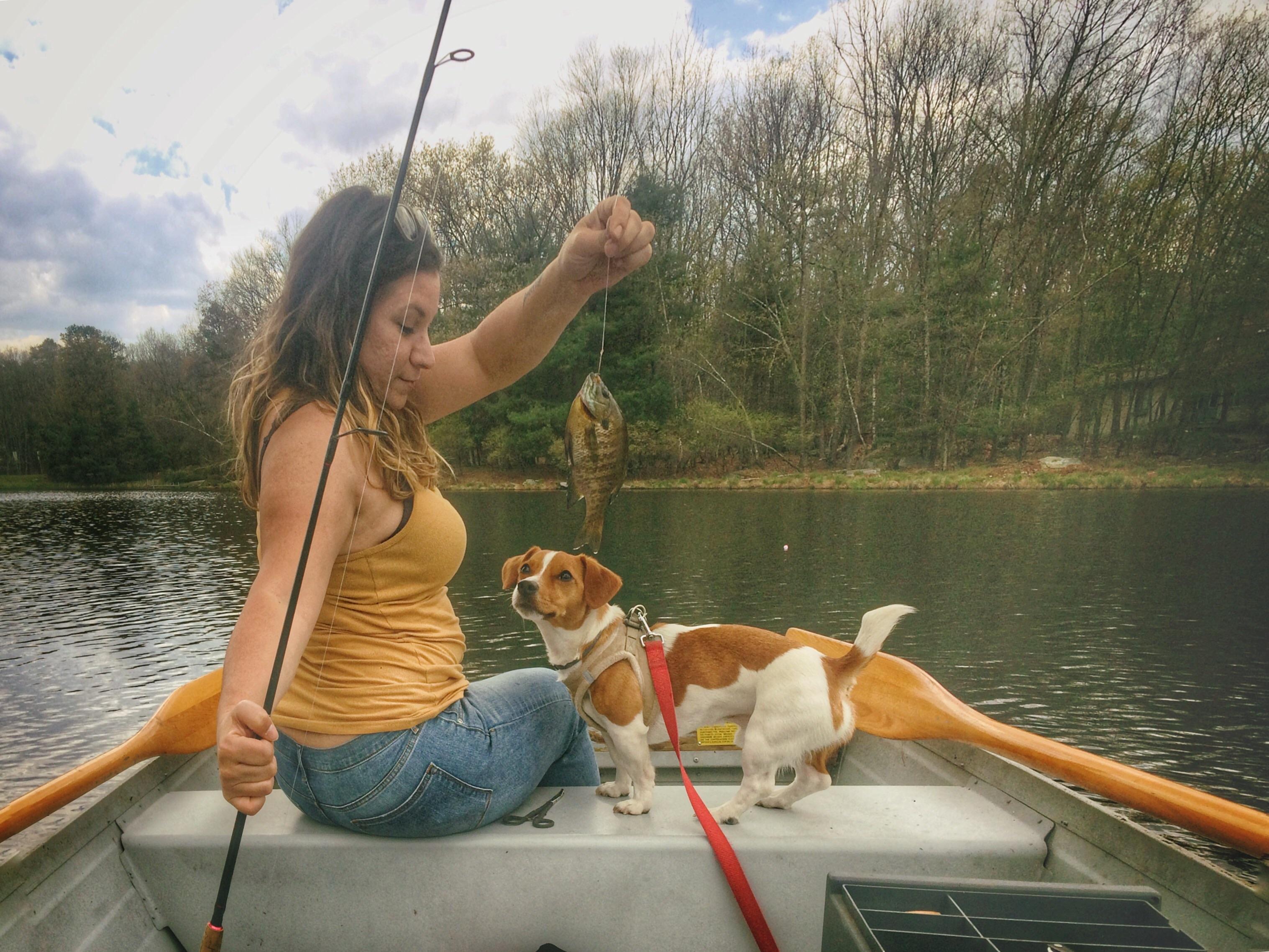 My dog's 1st time fishing. He was an excellent first mate! r/Fishing