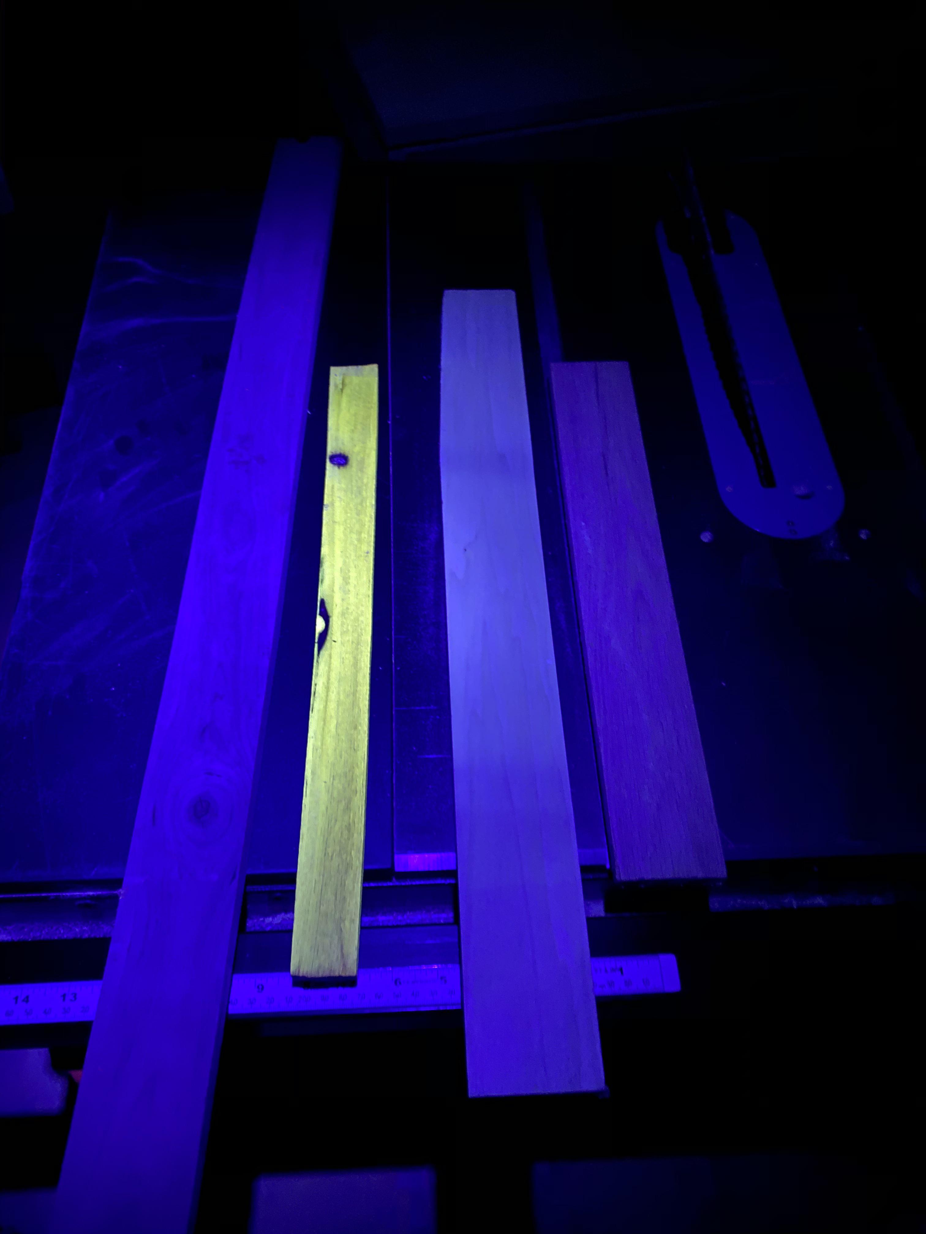 Black locust wood can be identified by fluorescence under black light