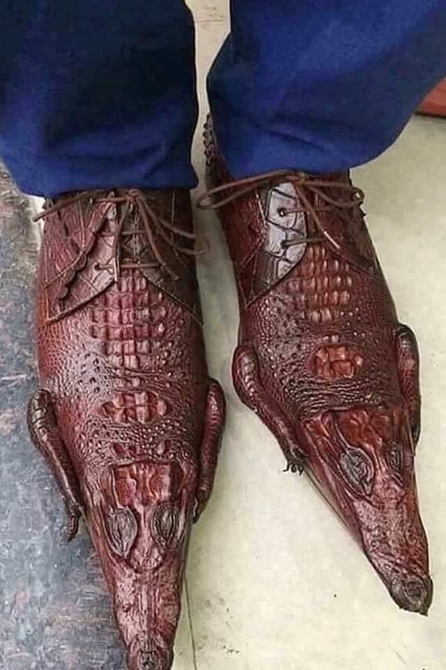 These alligator skin shoes. r/ATBGE