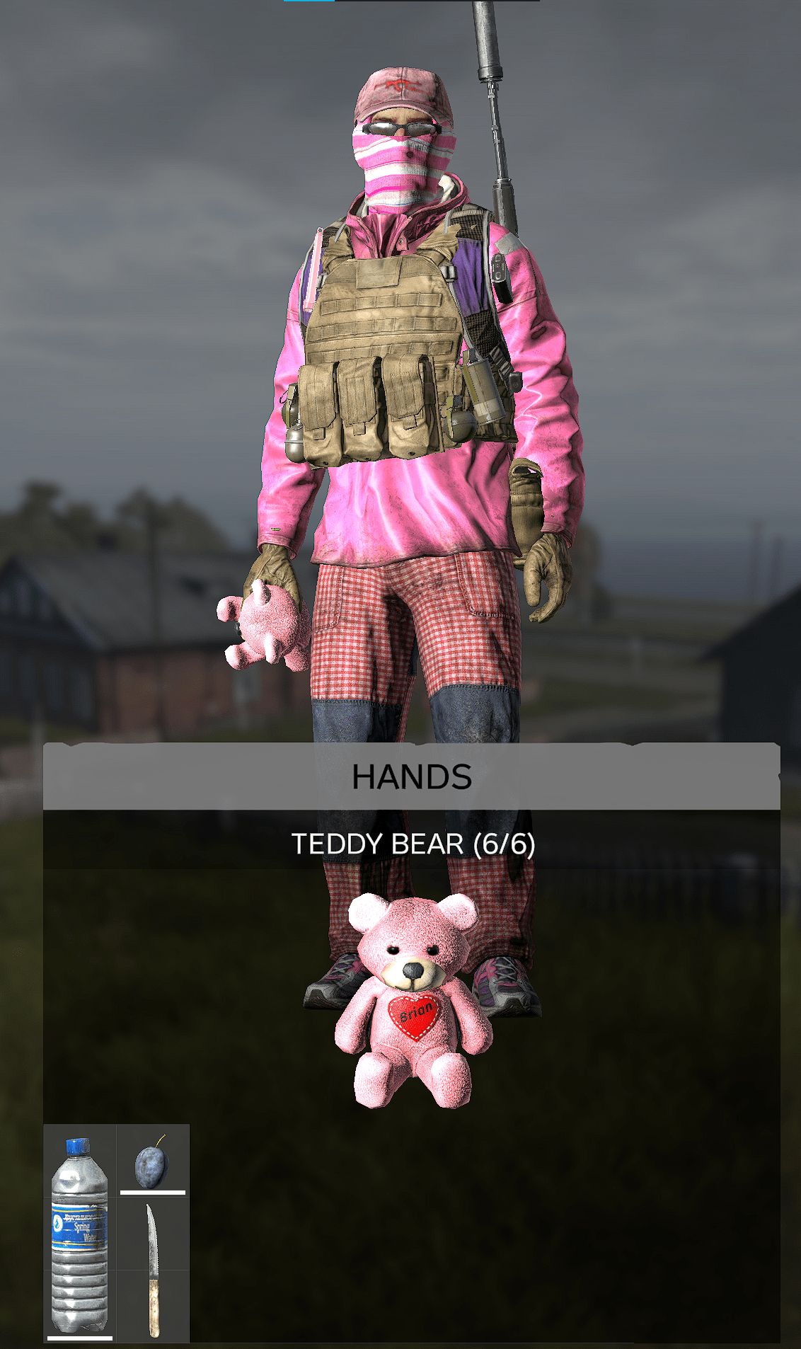 I am spending the last few days before the Wipe roaming the coast on