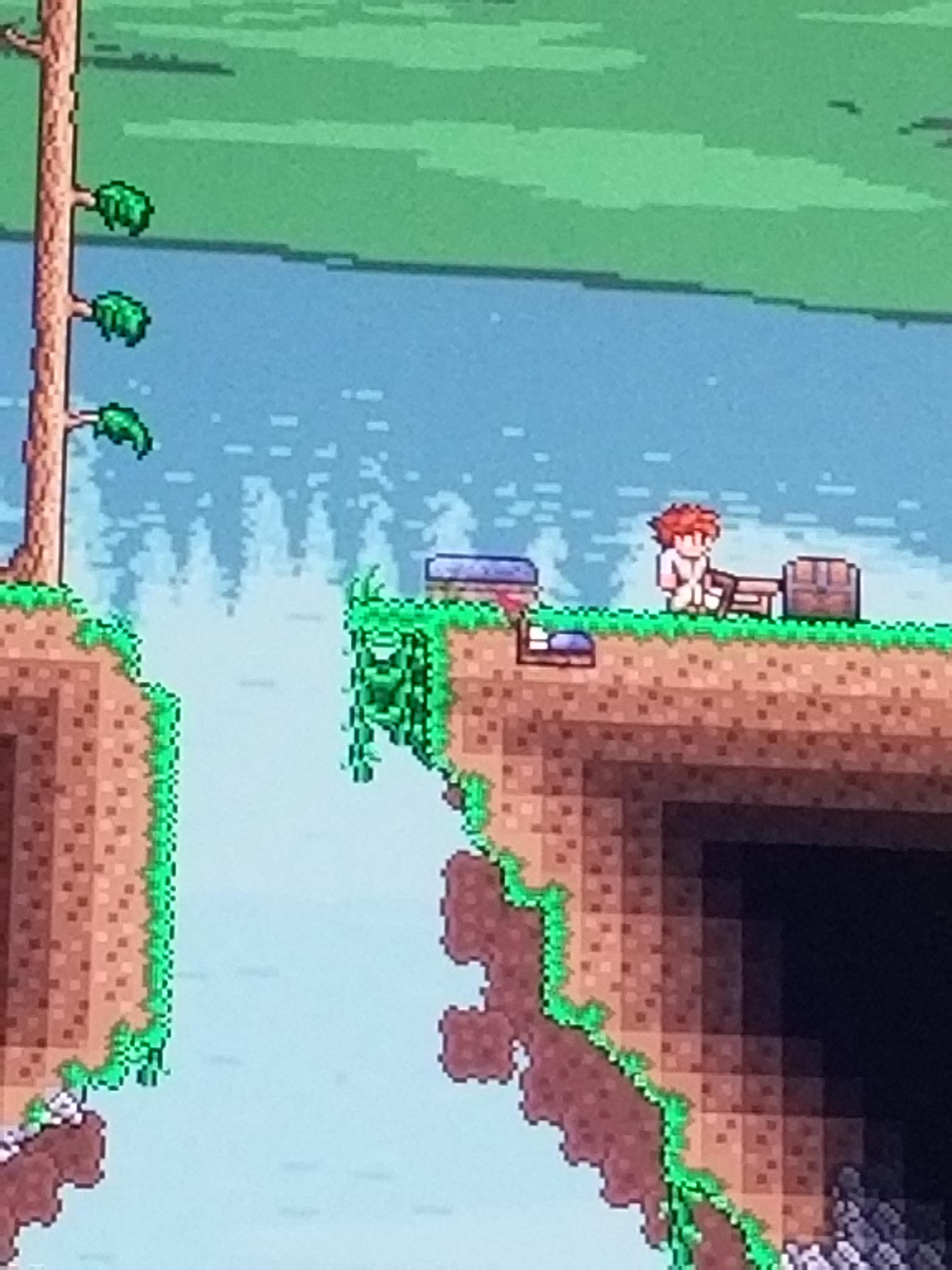 Bed not placing properly. r/Terraria