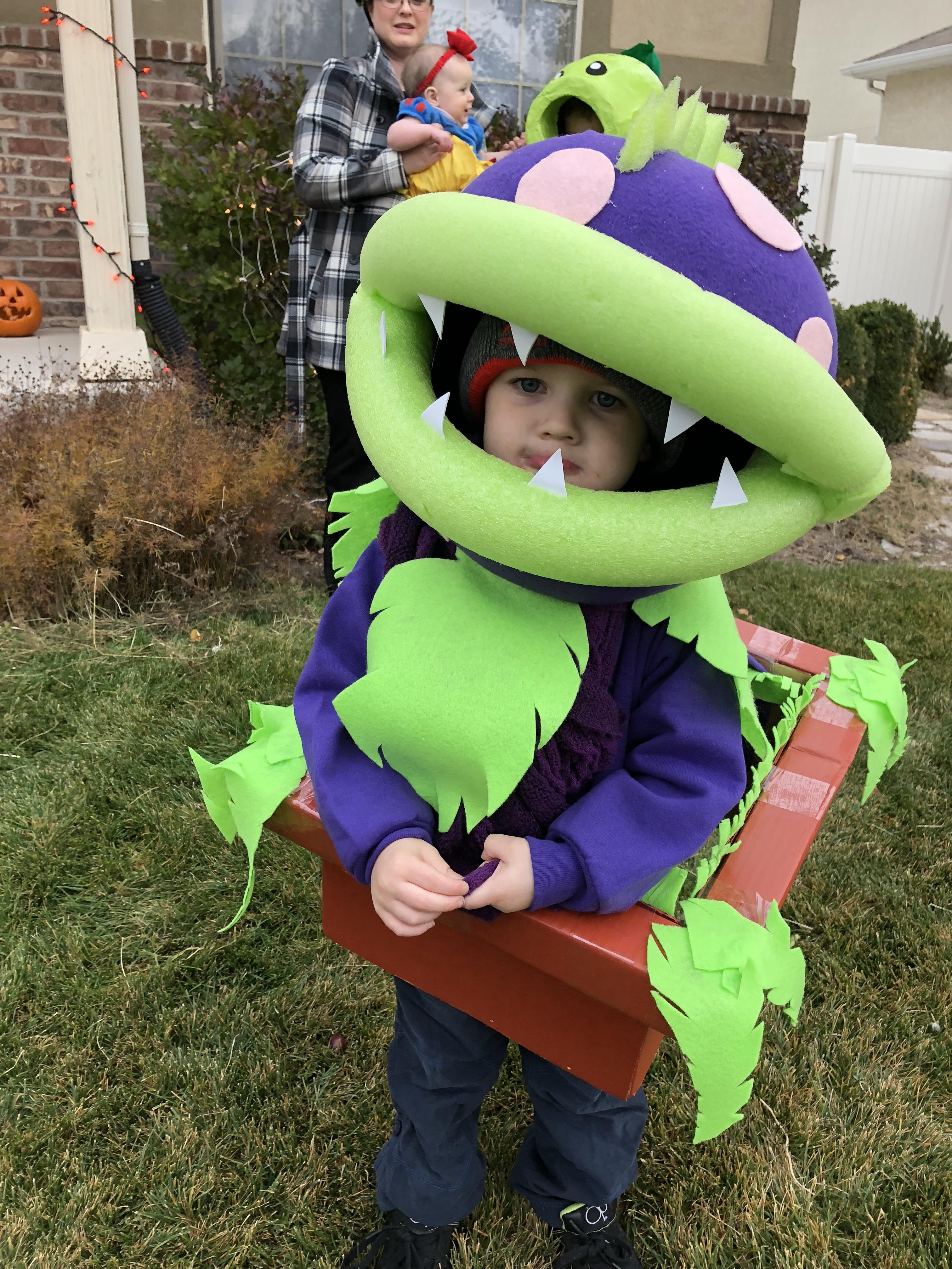 And here is the three year old in his homemade costume. r/PlantsVSZombies