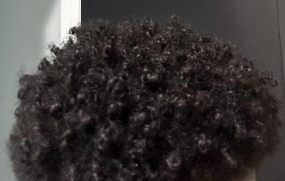 Conditioning hair without shampooing first r/BlackHair