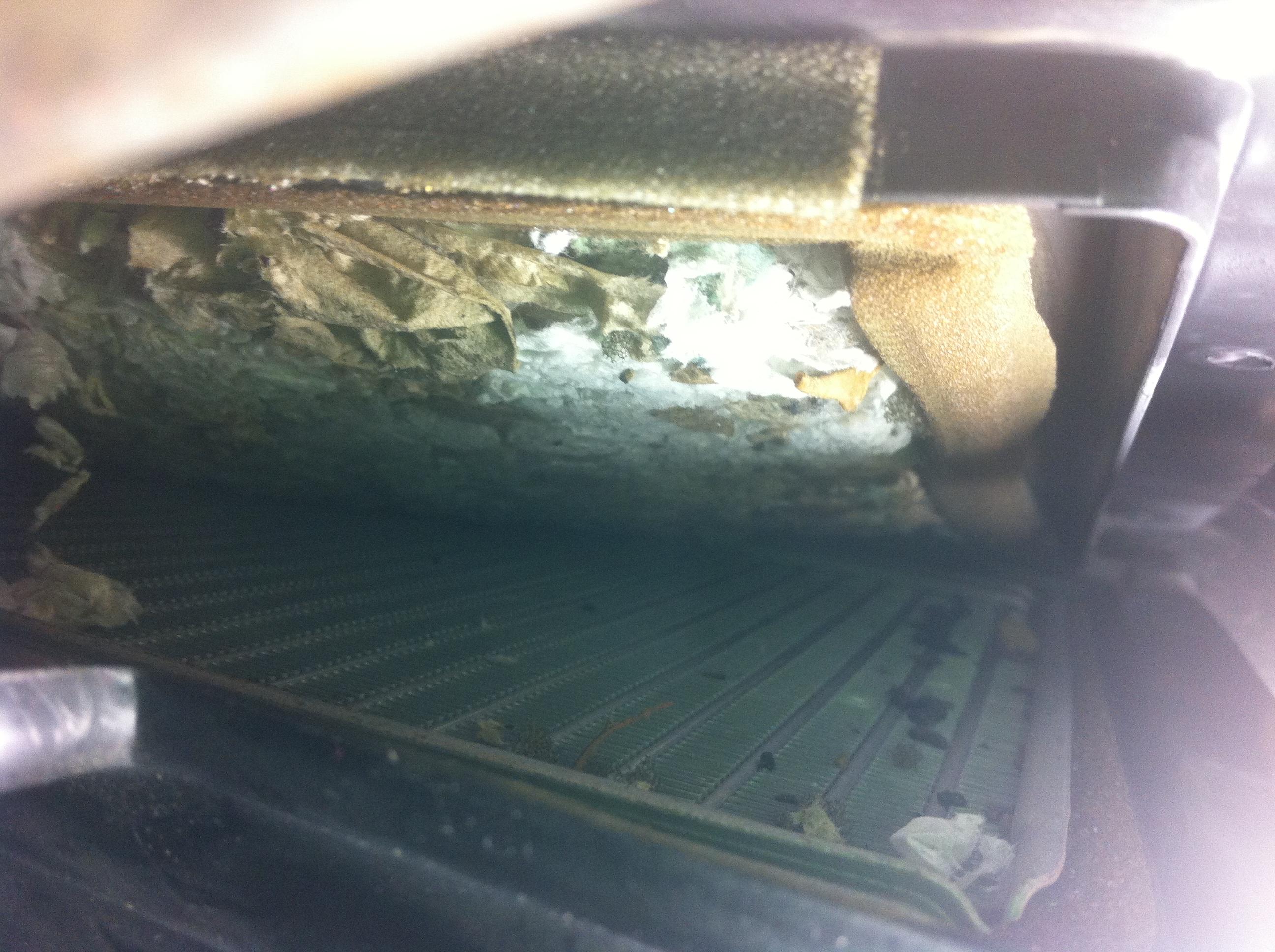 Had a bad smell coming from the vents : r/Justrolledintotheshop