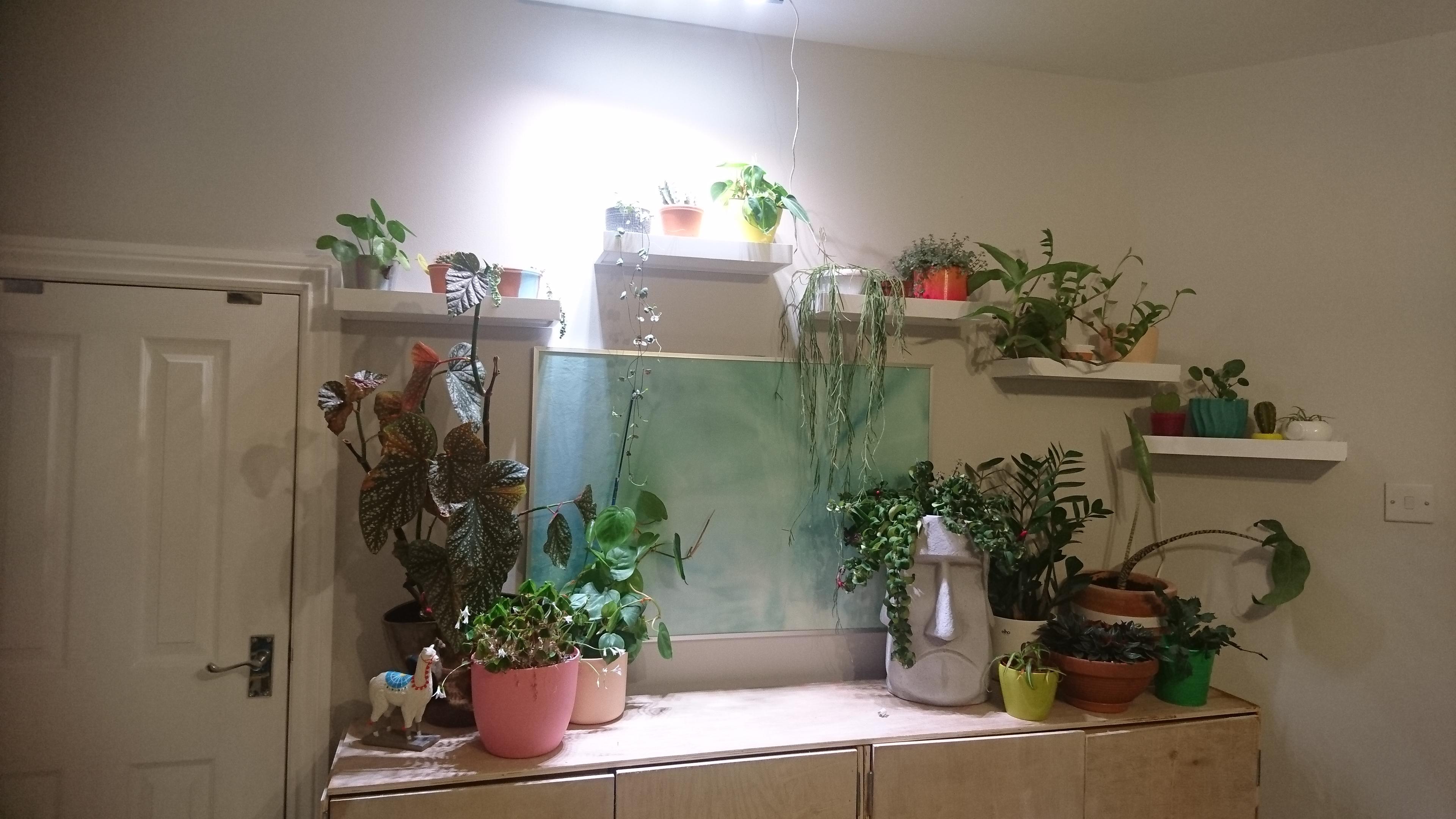 Grow light installed on the plant wall