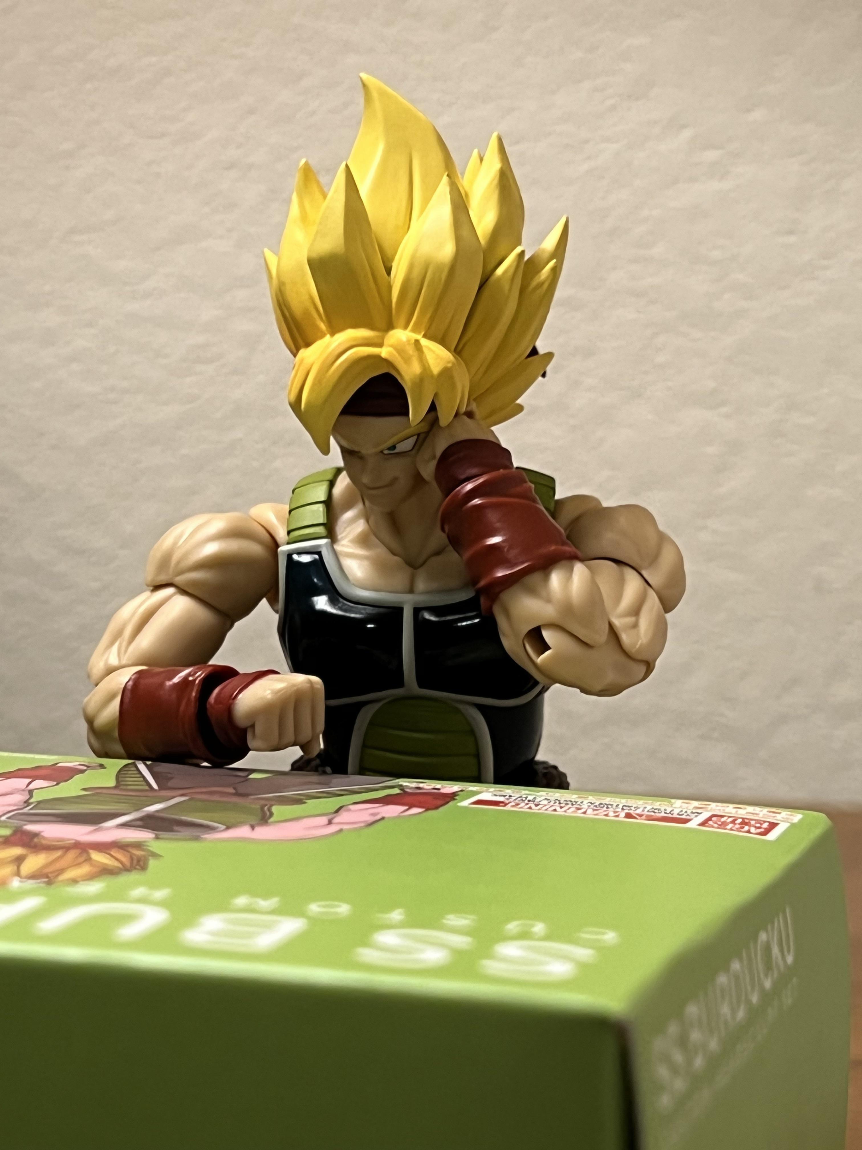 Bardock walks into a bar and sits down. What does he order? r/dbz