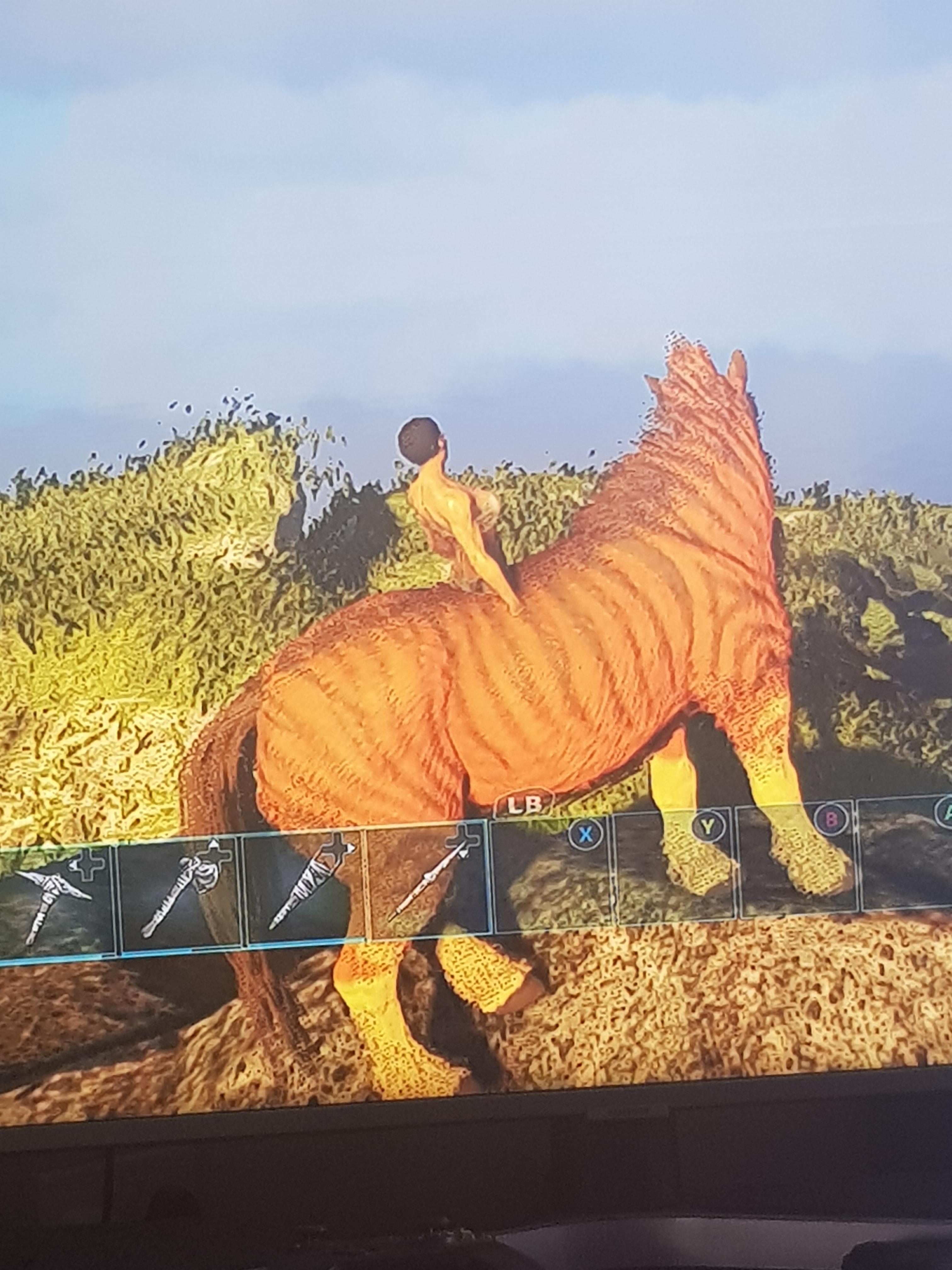 Anyone else have this issue with every tame? ARKone
