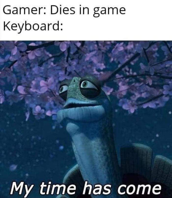 Ding dong meme