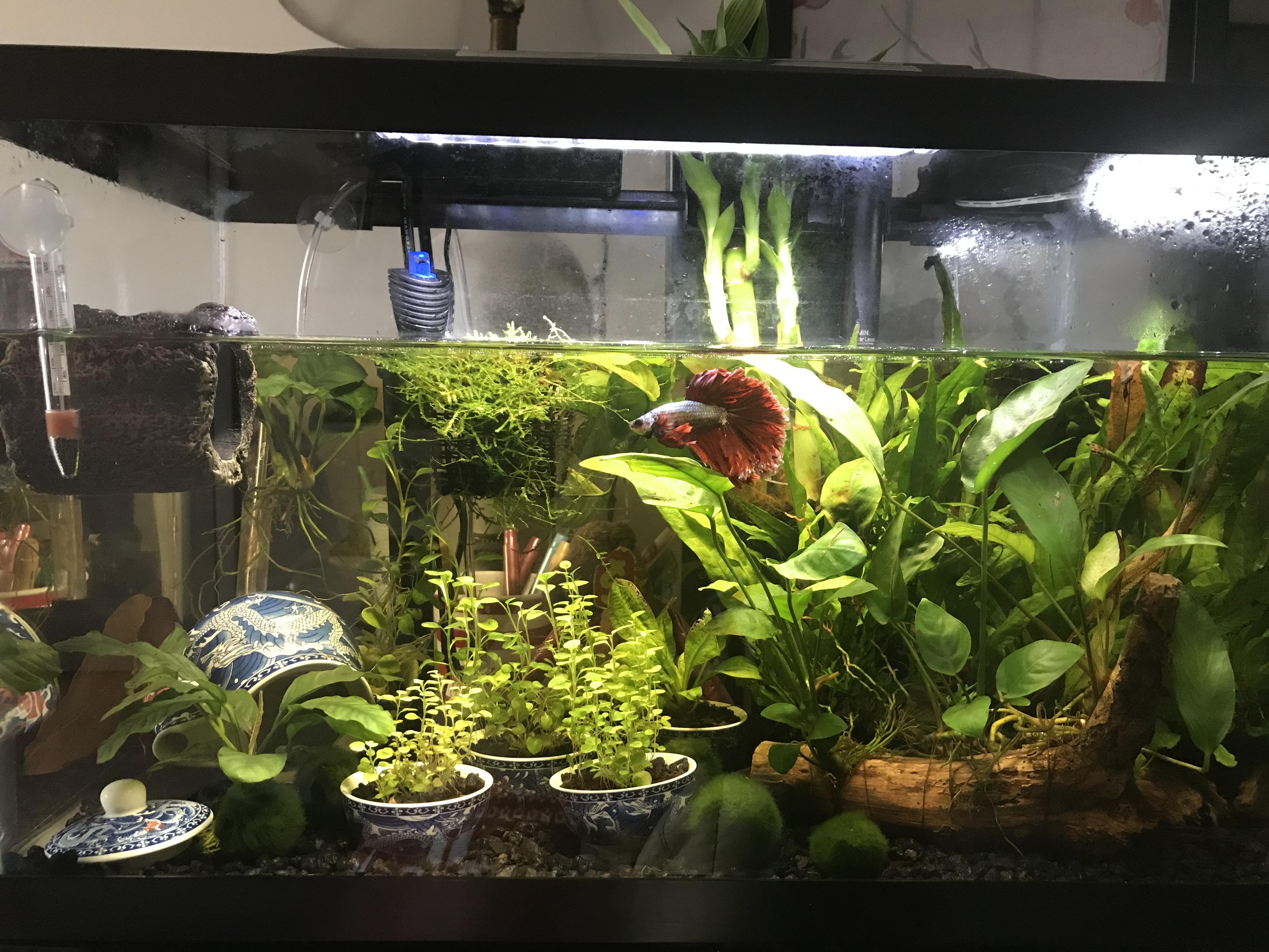 FTS Friday! His Royal Fishiness isn’t sure how he feels about the