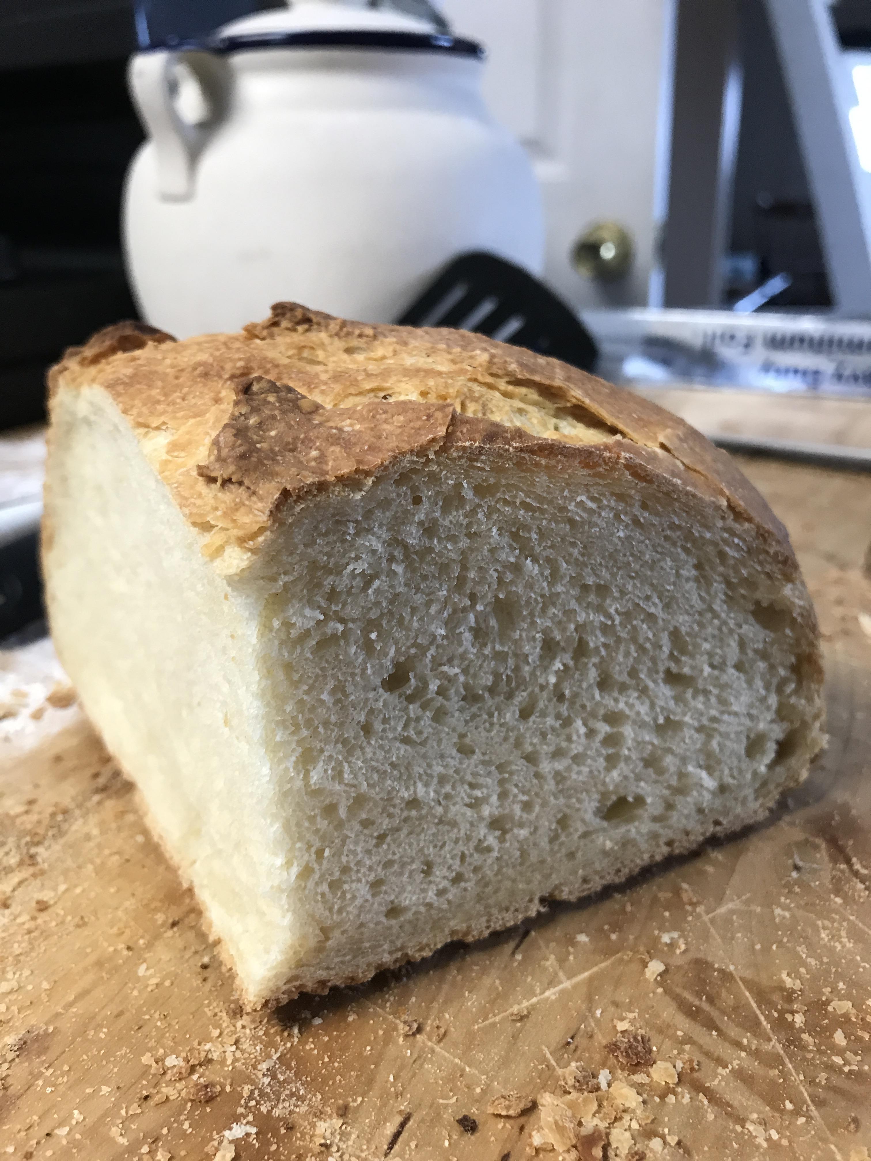 Low hydration sourdough in my Dutch oven (56). This is my second loaf
