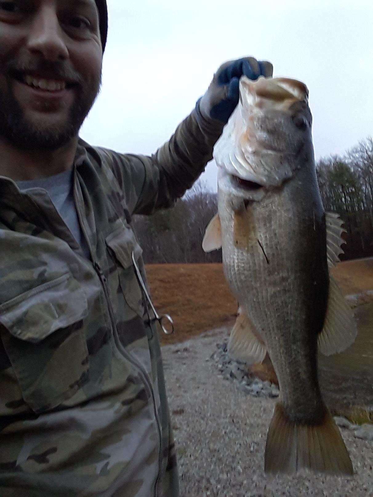 panaabsolute.blogg.se Fishing best bass setup florida