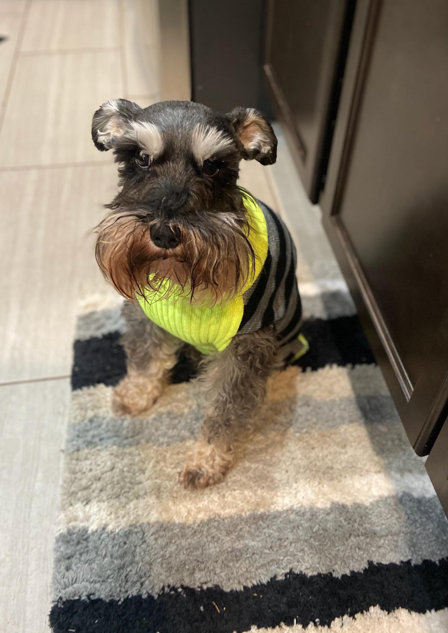 Ivan is such a good sport. I think it’s clear that he hates sweaters