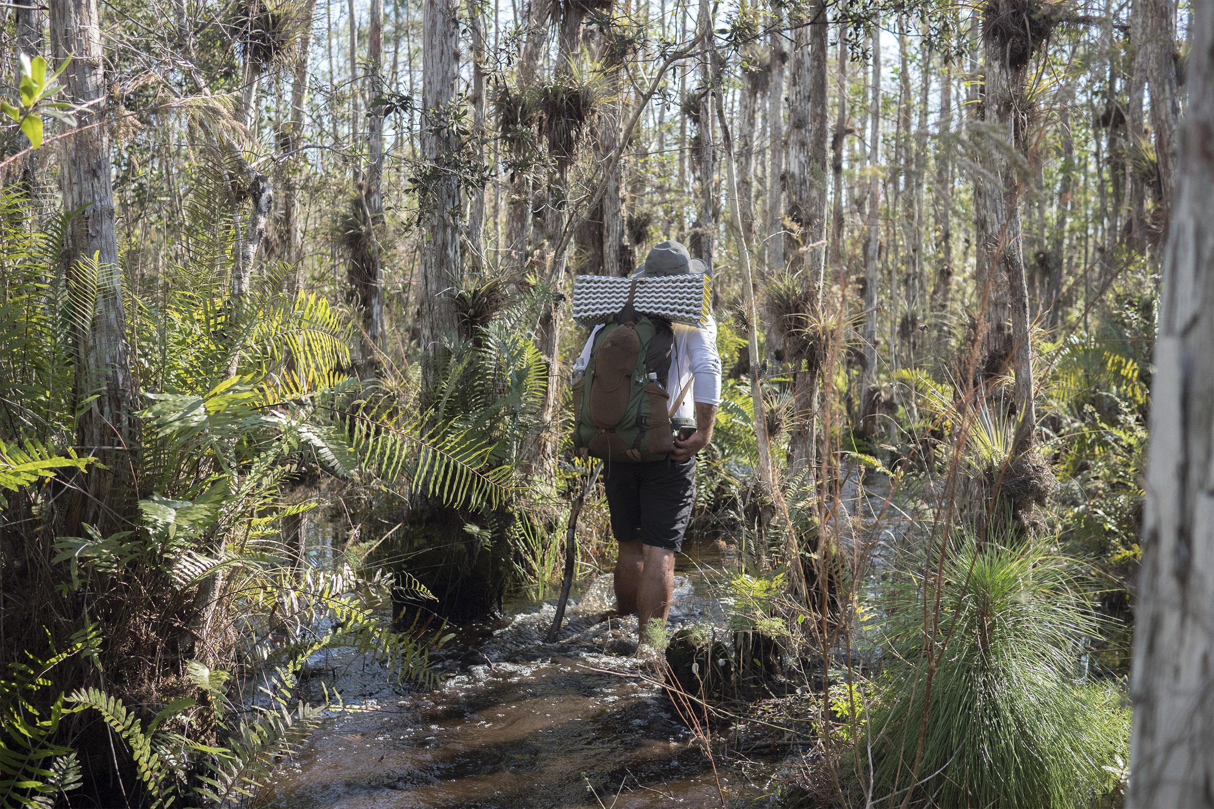 Hiking the Ocean to Lake Trail in South Florida. r/hiking