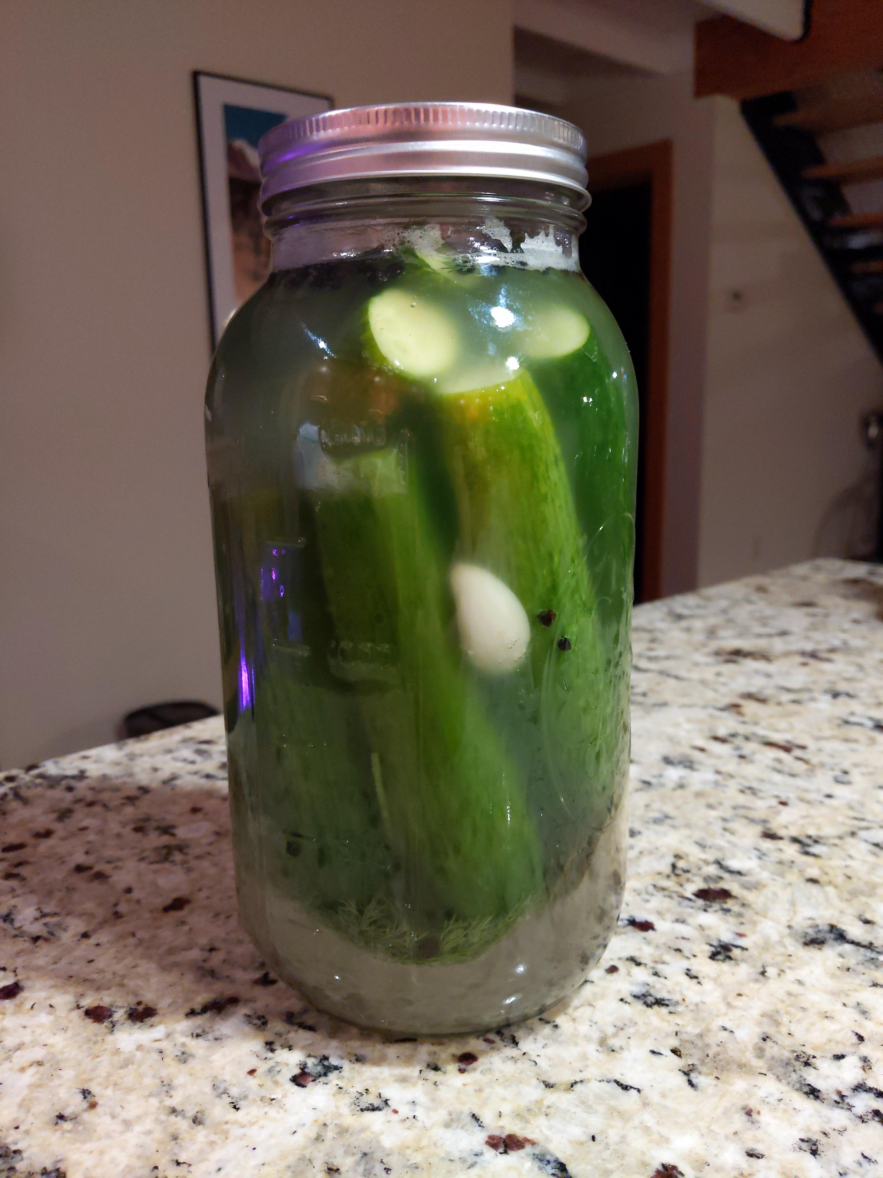 Week 1 Hindsight 2020 Lacto fermented dill pickles 52weeksofcooking