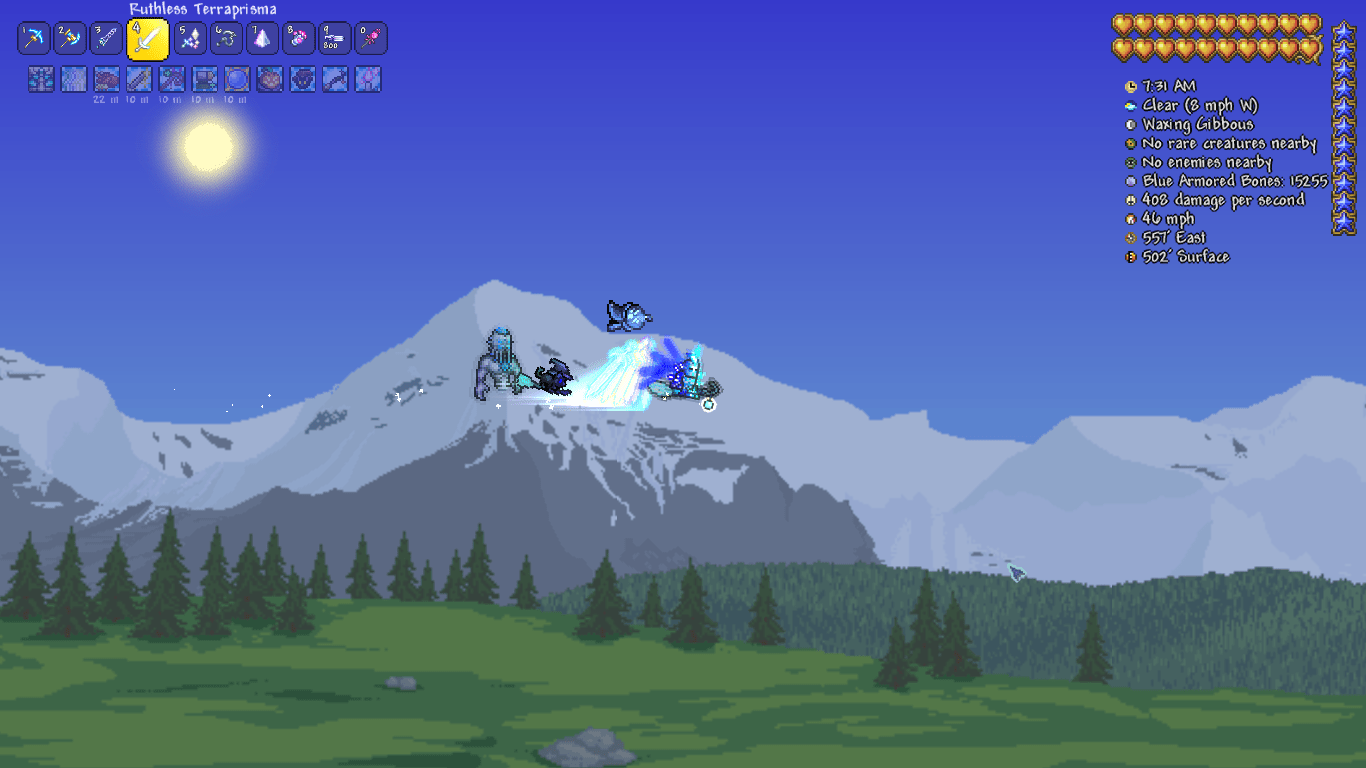 Broom Buddies r/Terraria