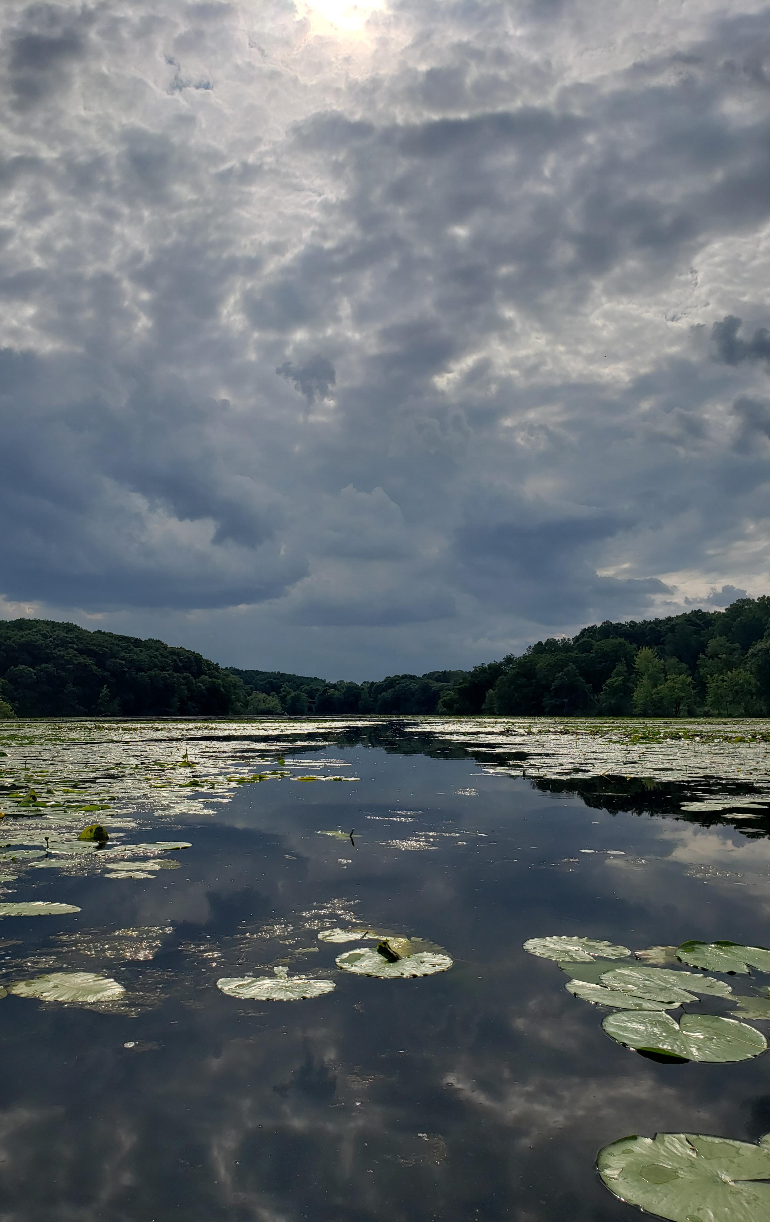 Jensen Lake in Eagan is a pretty peaceful place to kayak. r/minnesota