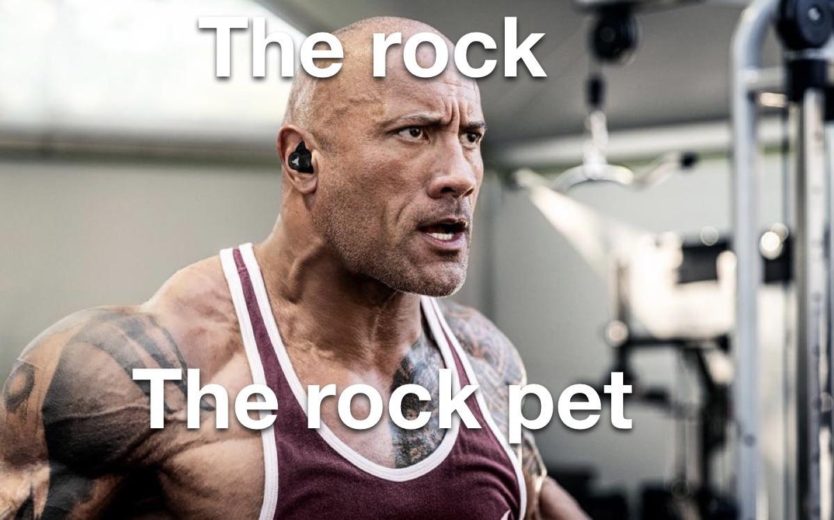 Dwayne the rock pet Johnson r/HypixelSkyblock