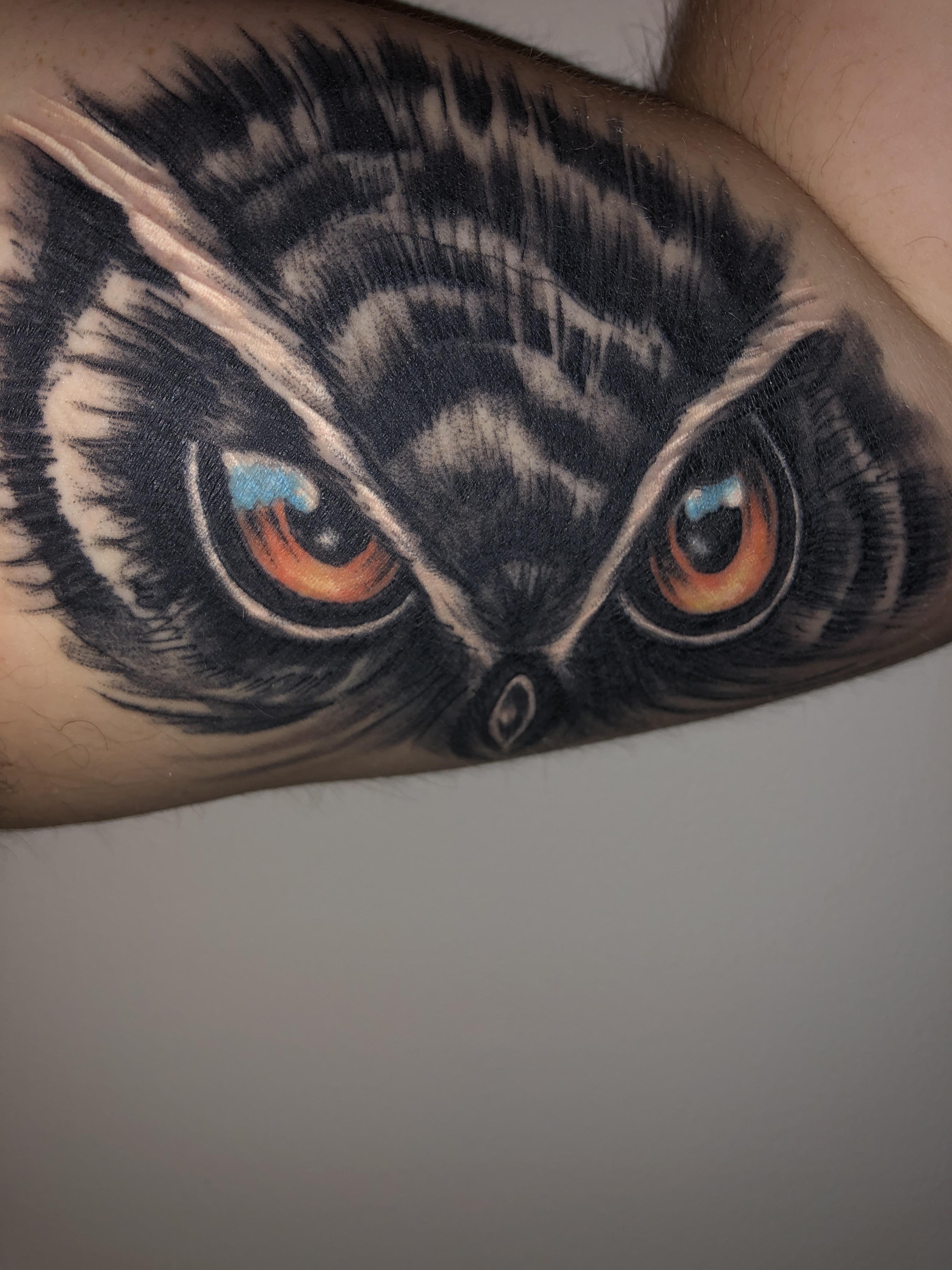 Owl tattoo, two weeks healed from Three at House of Pain in Zanesville