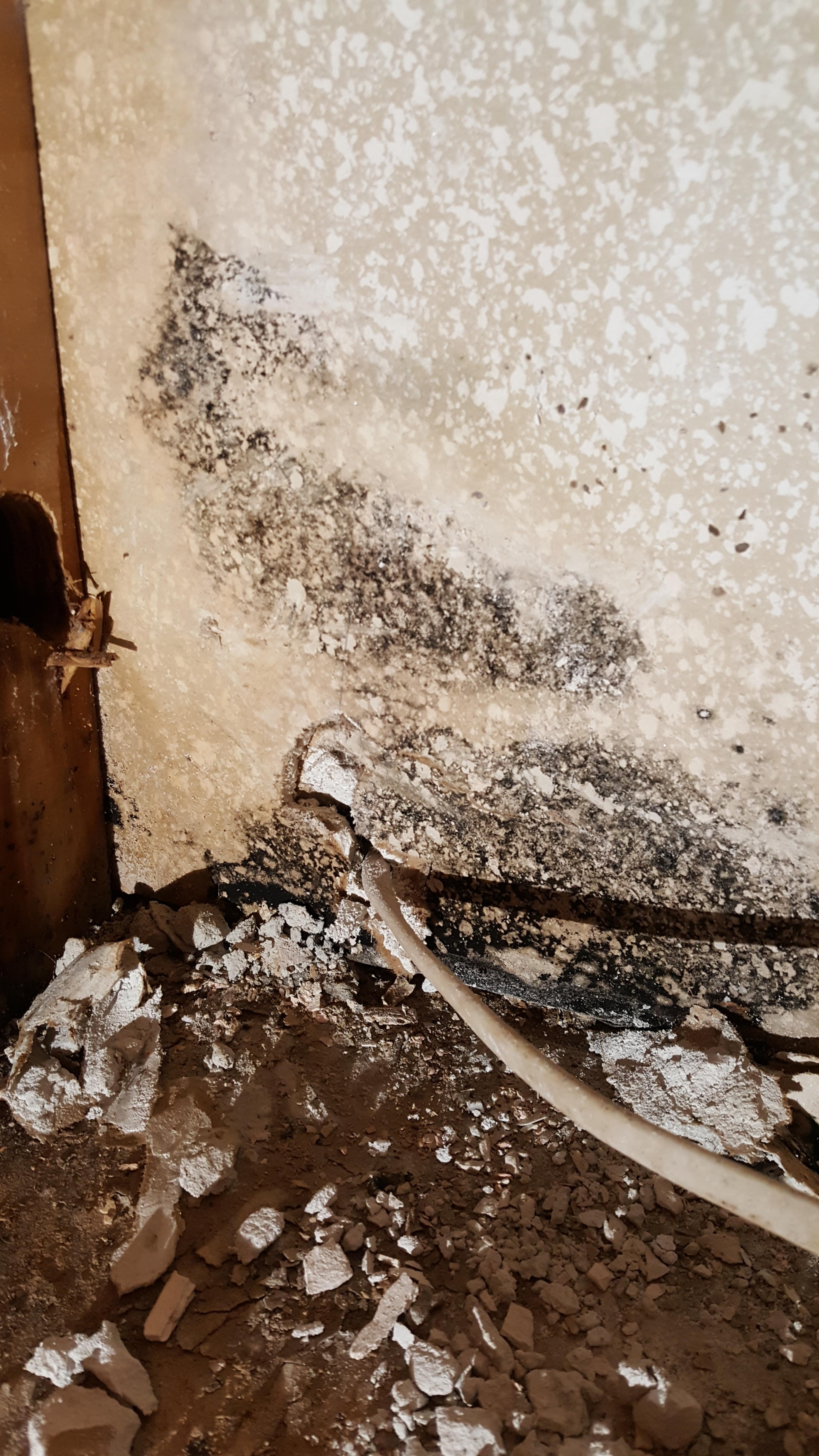 Potential mold behind dishwasher. Can anyone help? r/ToxicMoldExposure