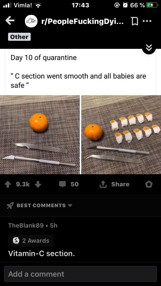 36 Hilarious Vitamin C Puns Punstoppable 🛑