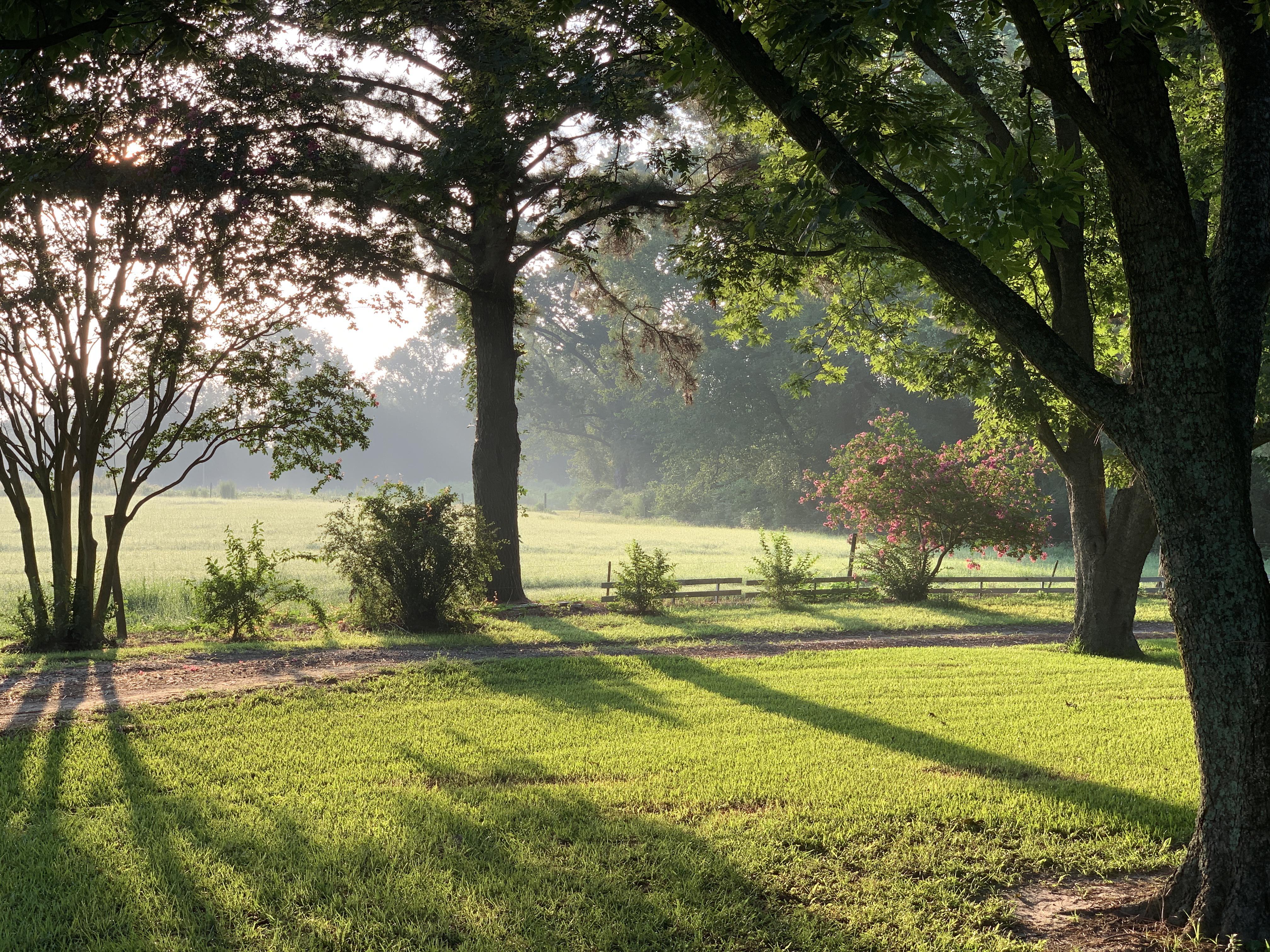 Good night from Pink Hill, NC r/NorthCarolina