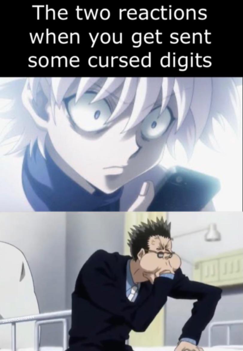 HXH memes are a treasure r/Animemes