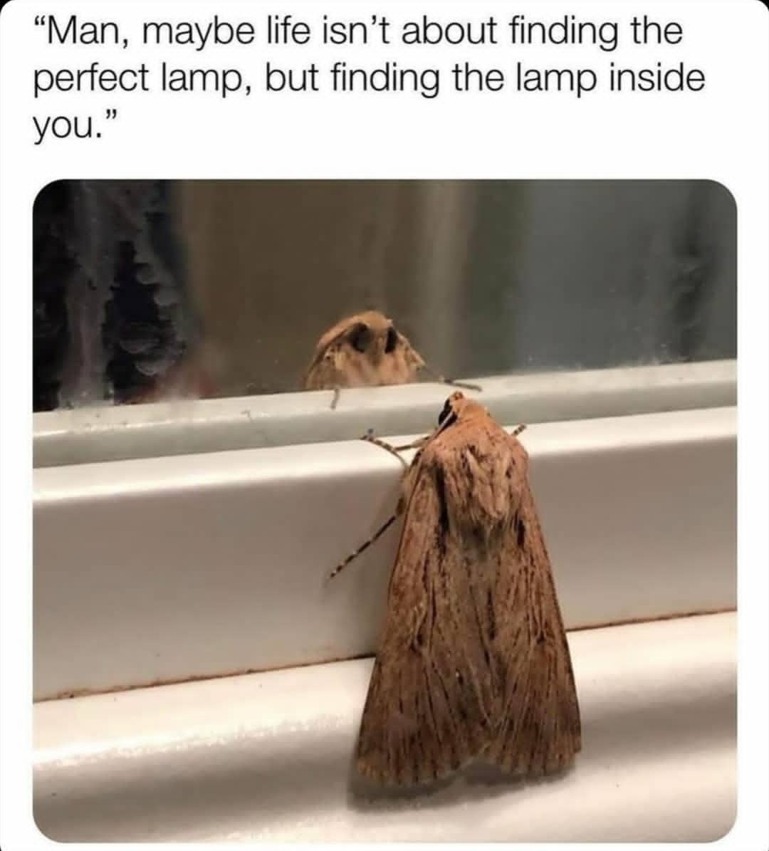 I love lamp. r/memes