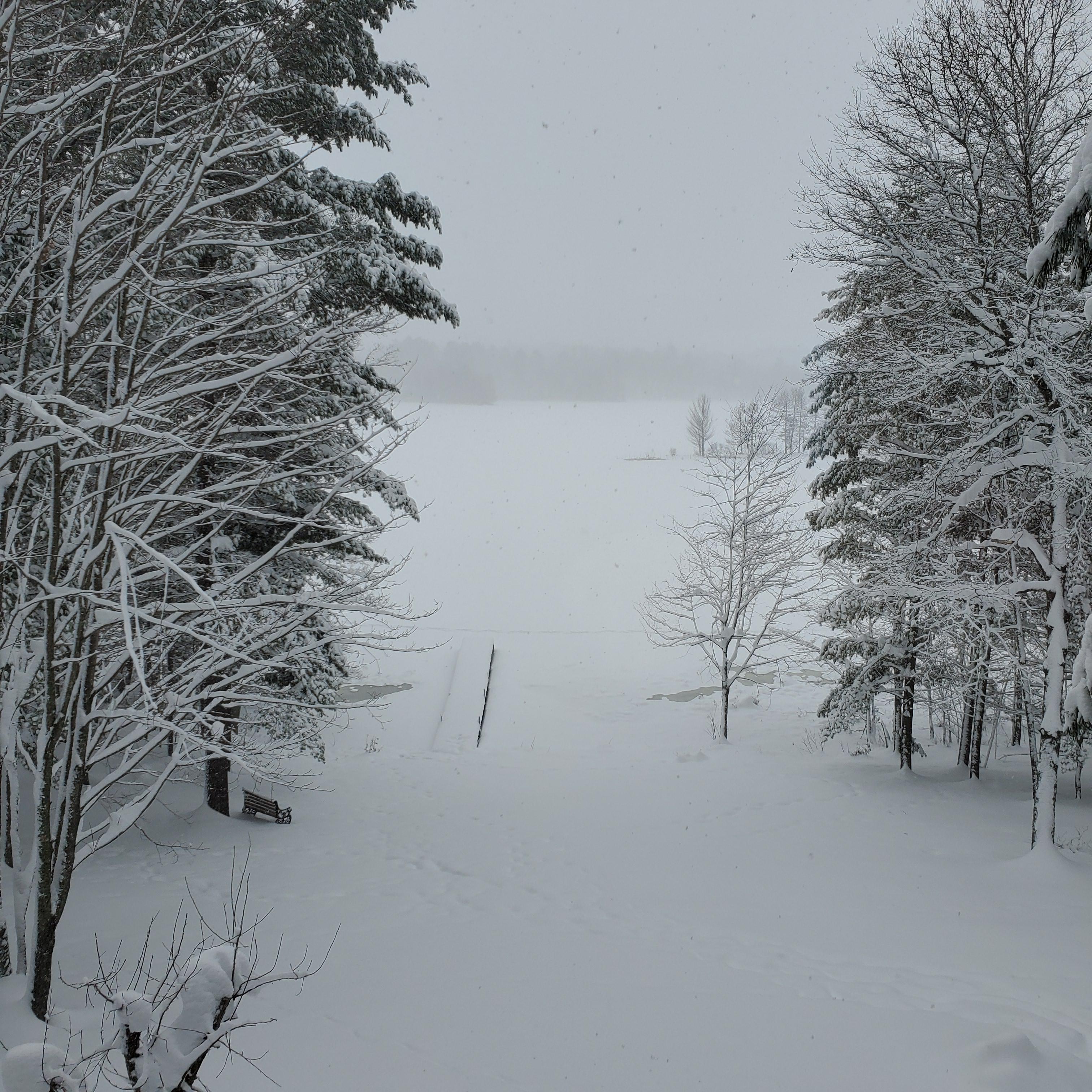 Minocqua Wi Landscape
