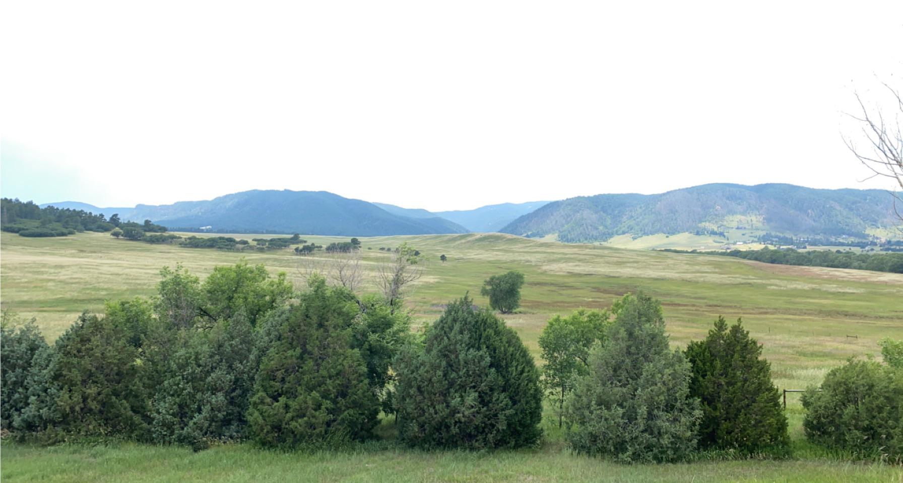 Black Forest, Colorado, July 2021 r/Colorado