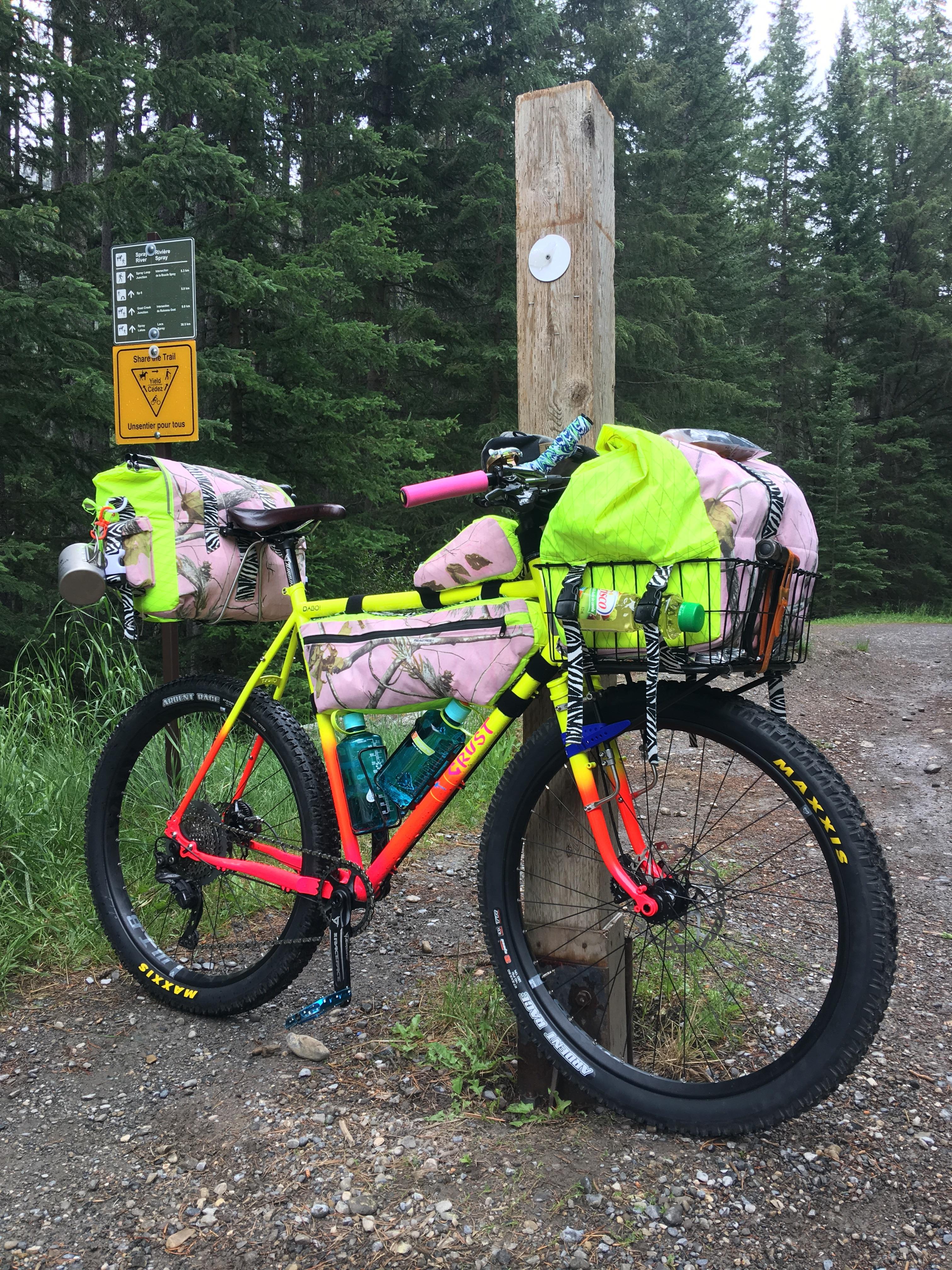 My somewhat gaudy bikepacking setup for the CDT. r/myog