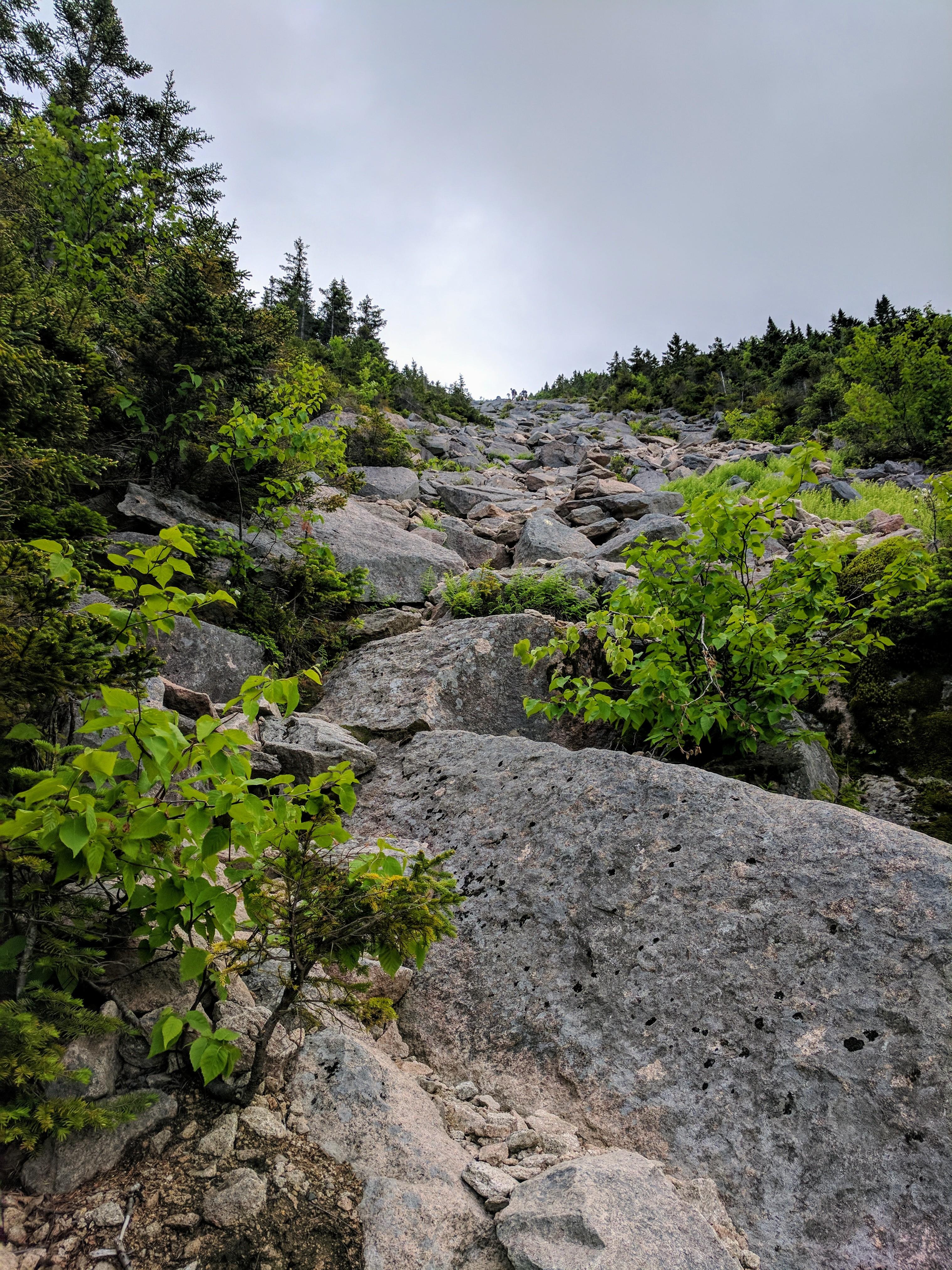 North slide climb tripypermids Livermore NH r/hiking