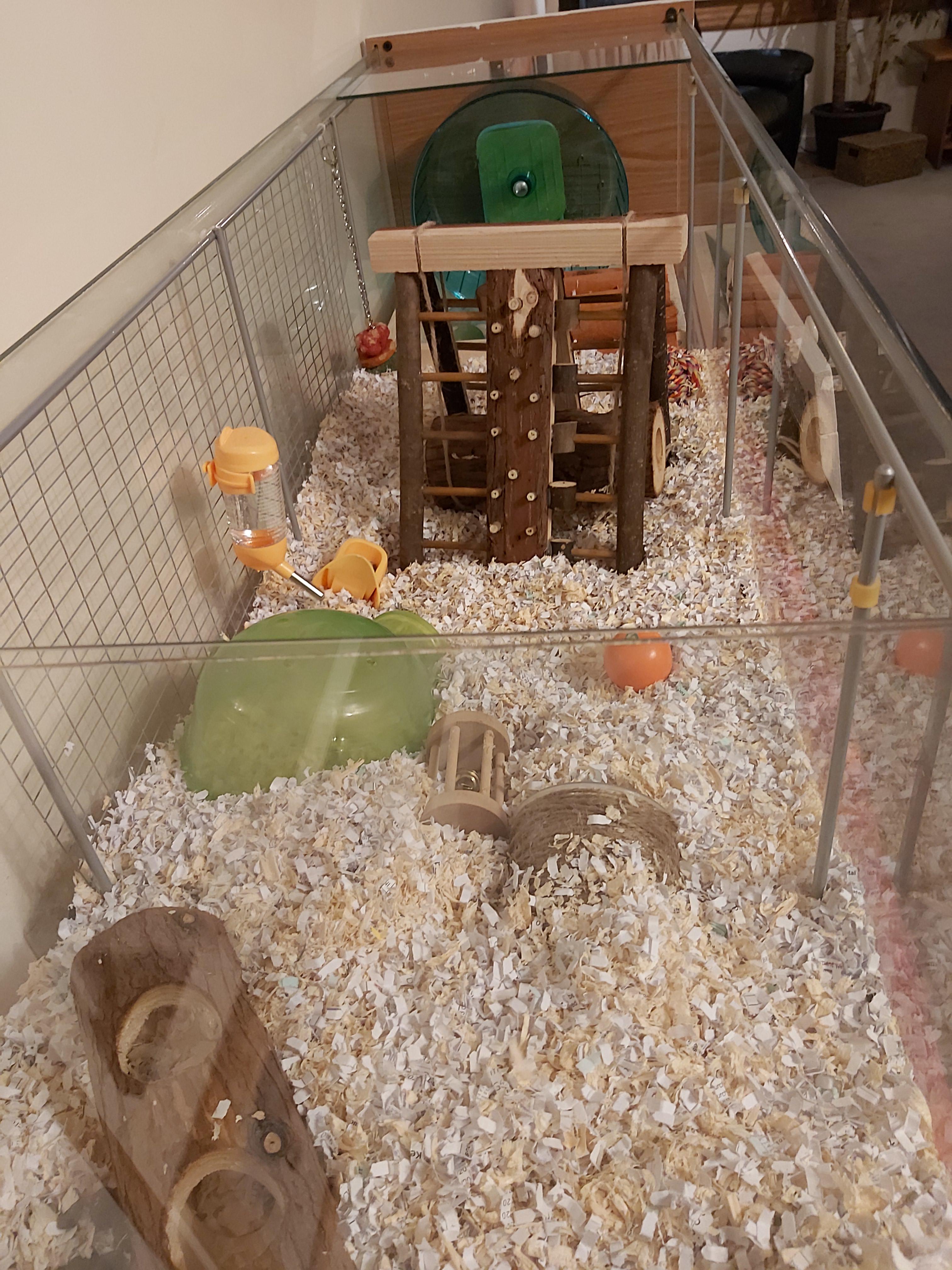 Upgraded from hand me down inadequate cage to super